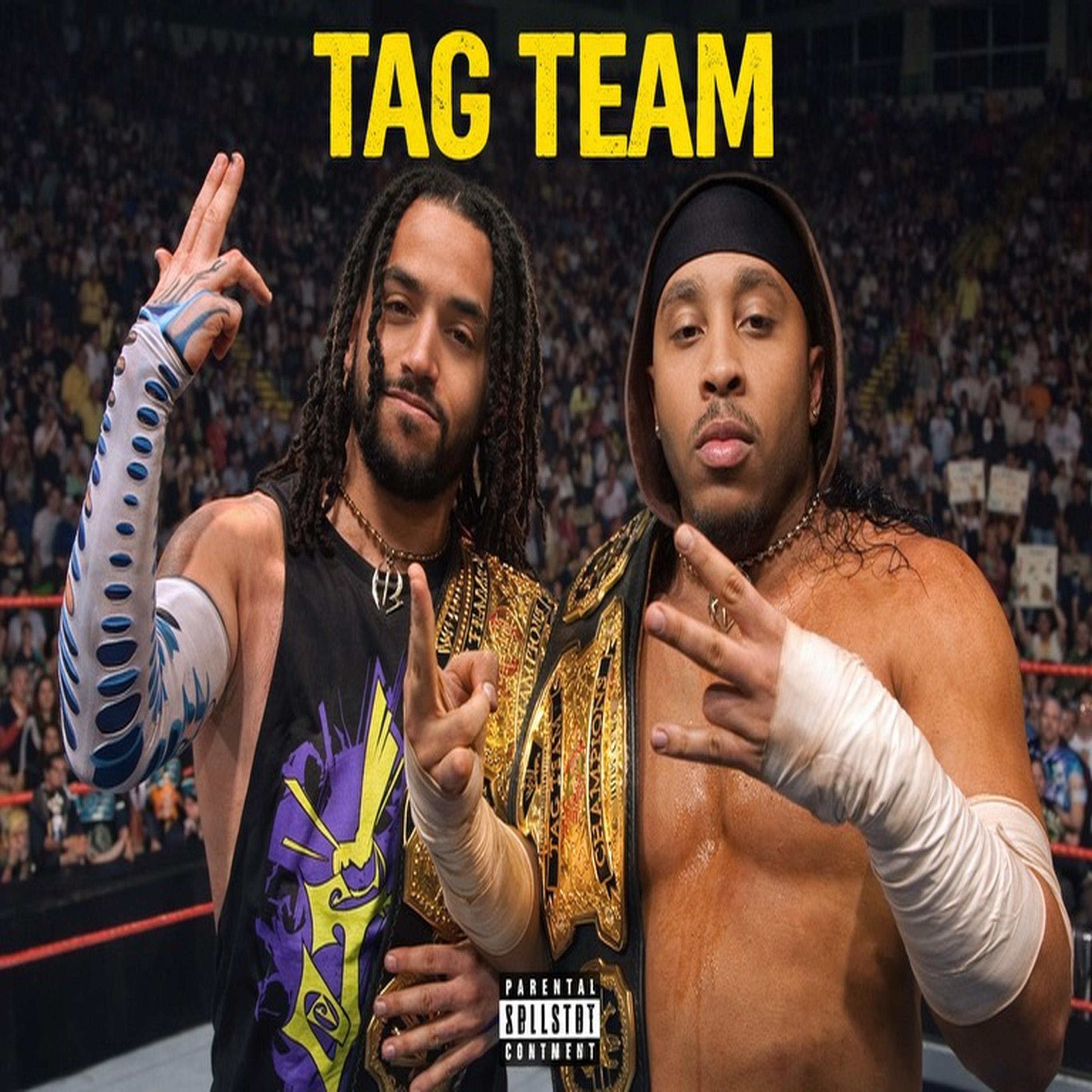 Tag Team artwork