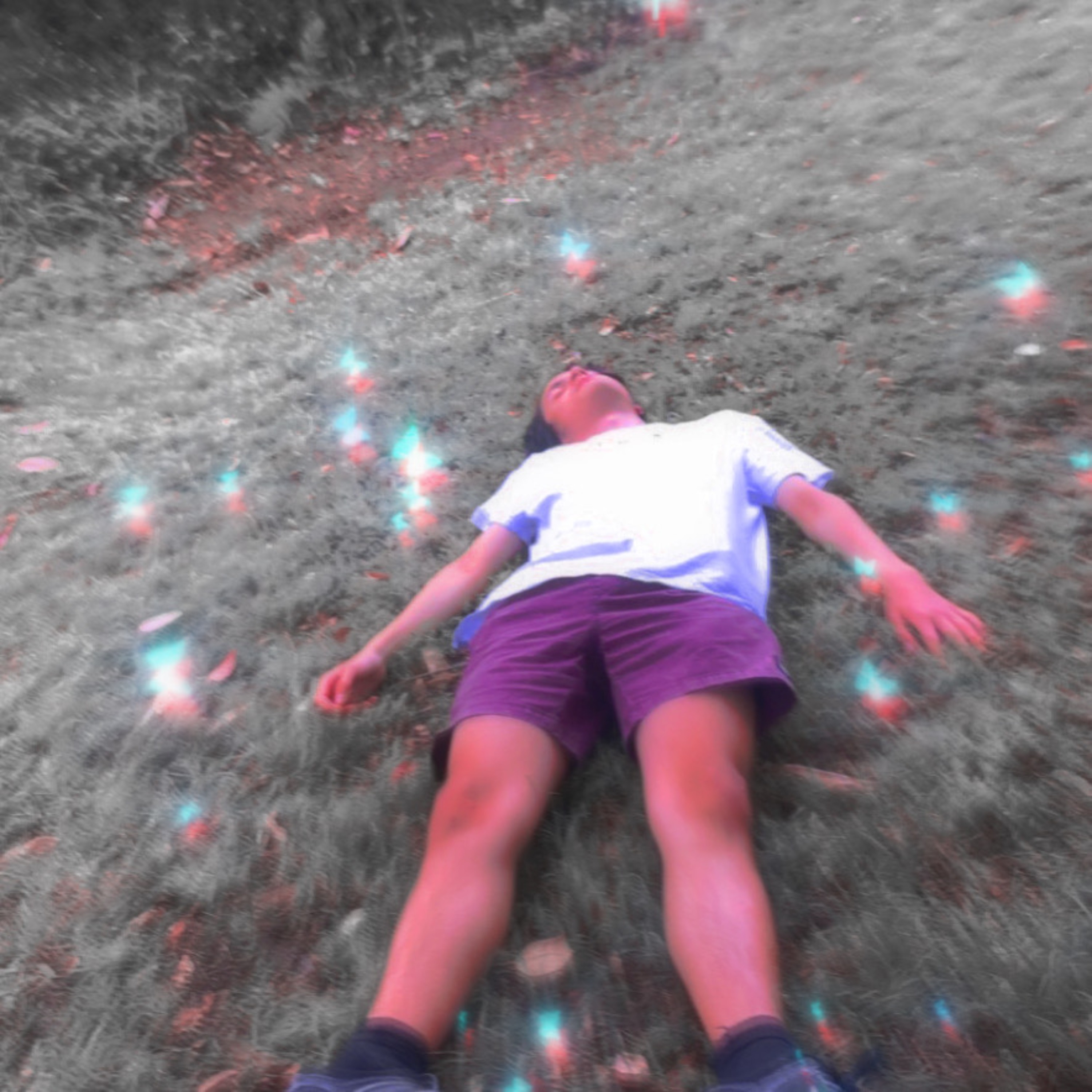 2026 Freestyle artwork