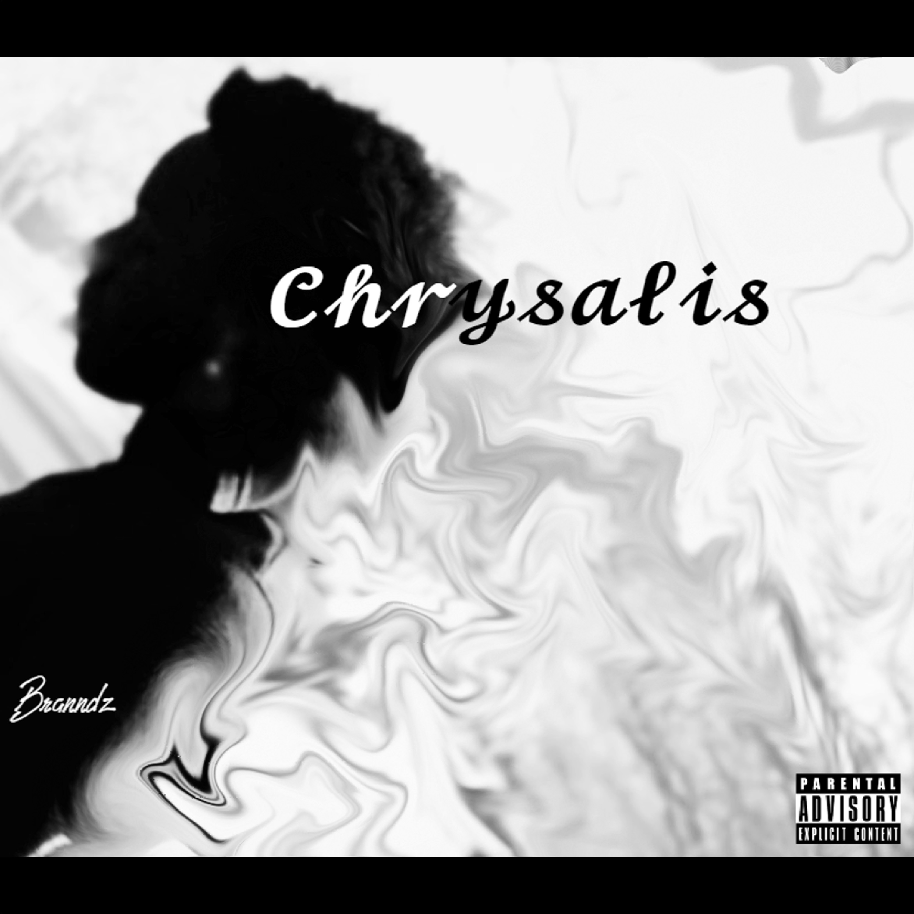 Chrysalis artwork