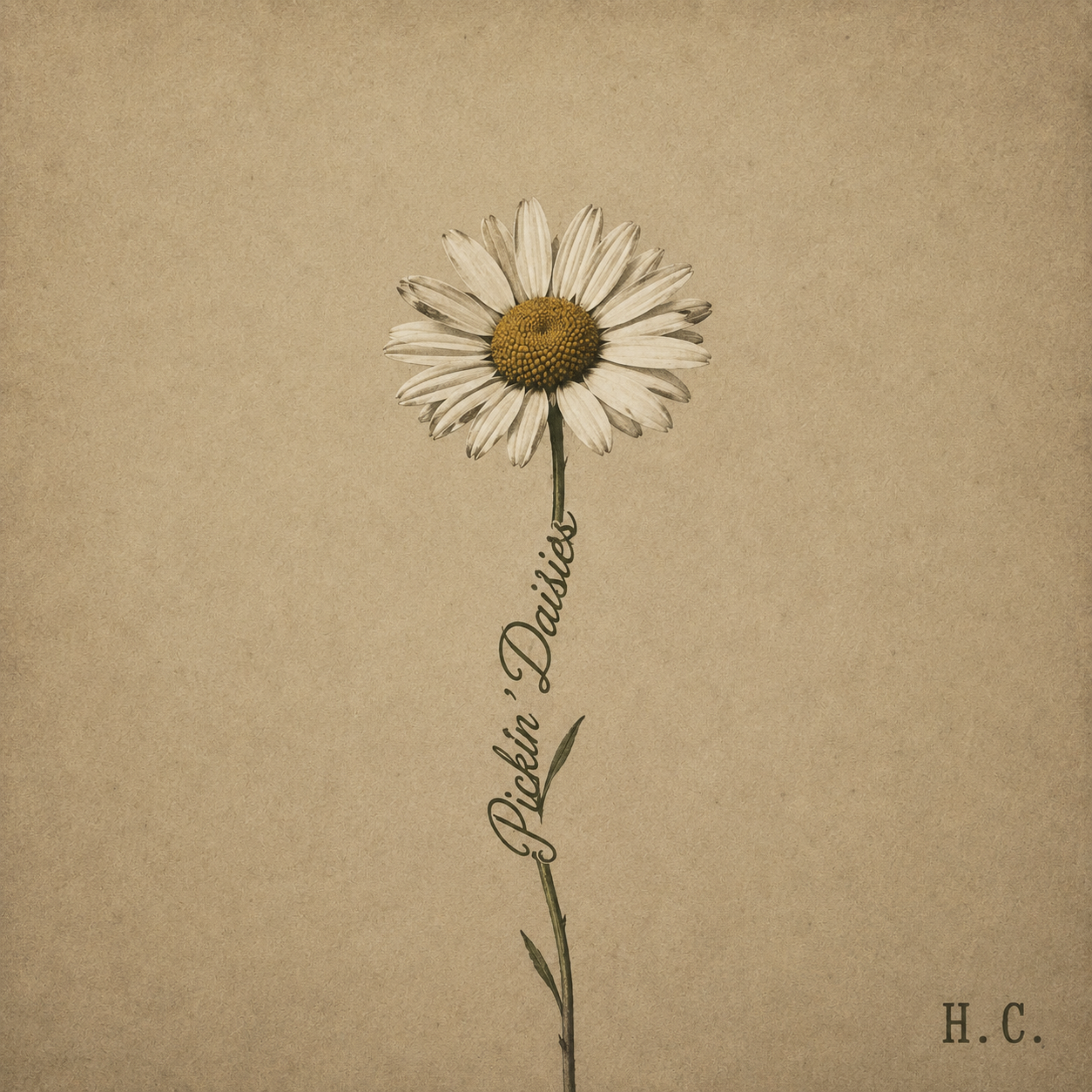 Pickin’ Daisies by Hunter Chesser cover art