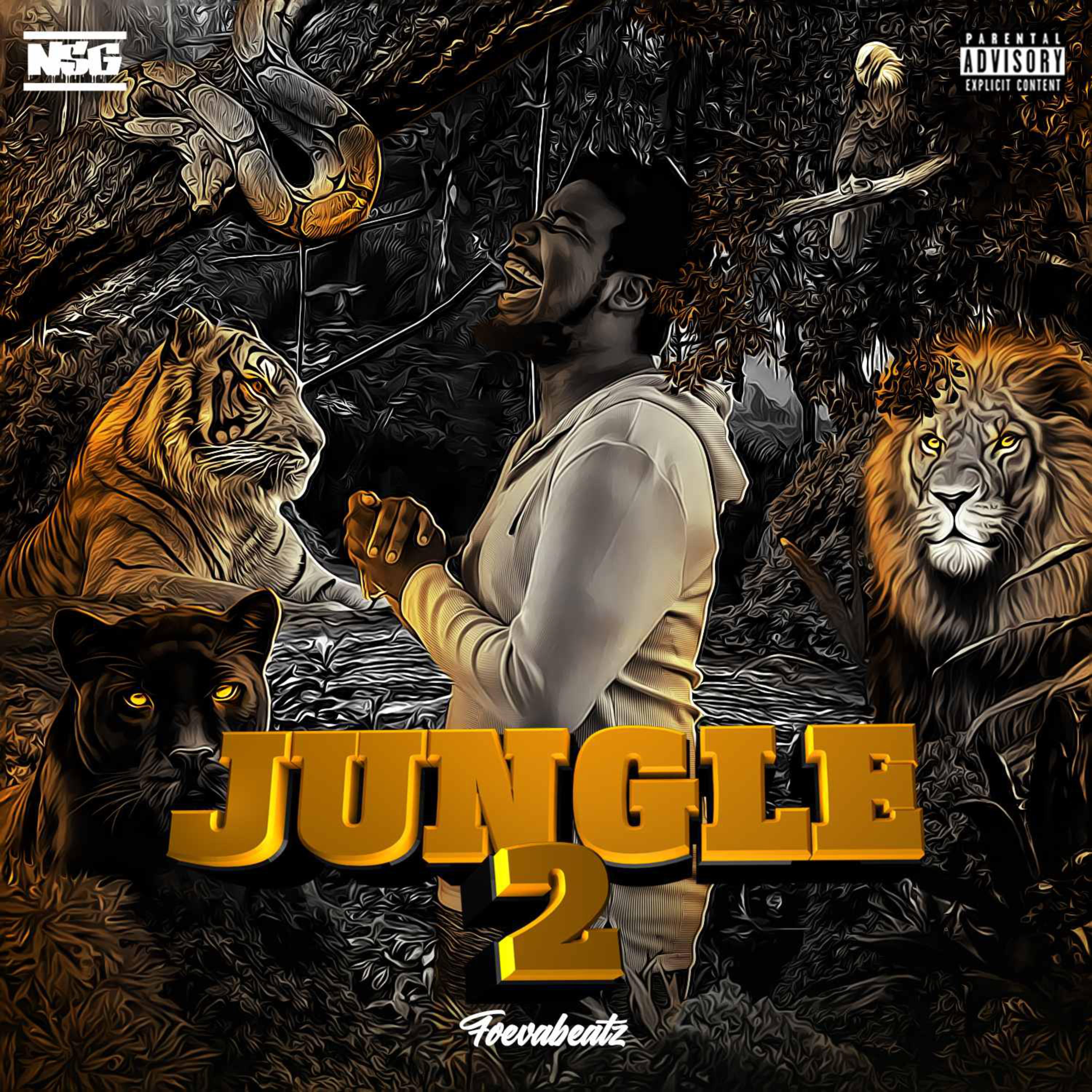 Jungle 2 artwork