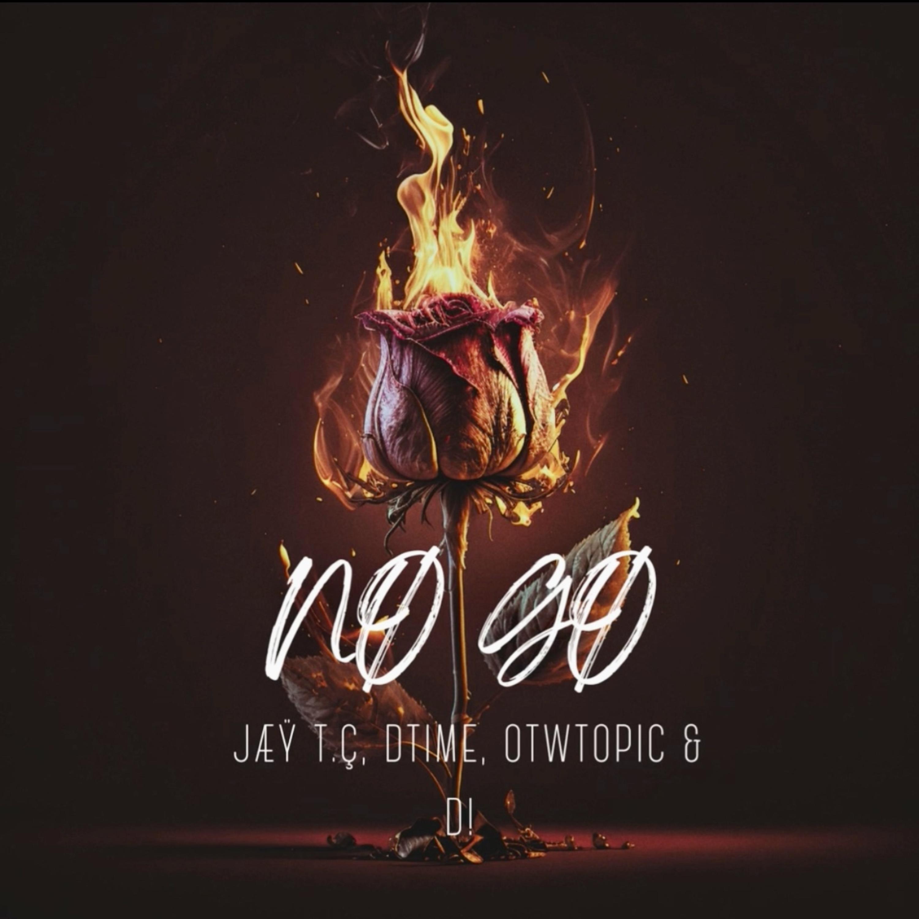 NØ GØ artwork