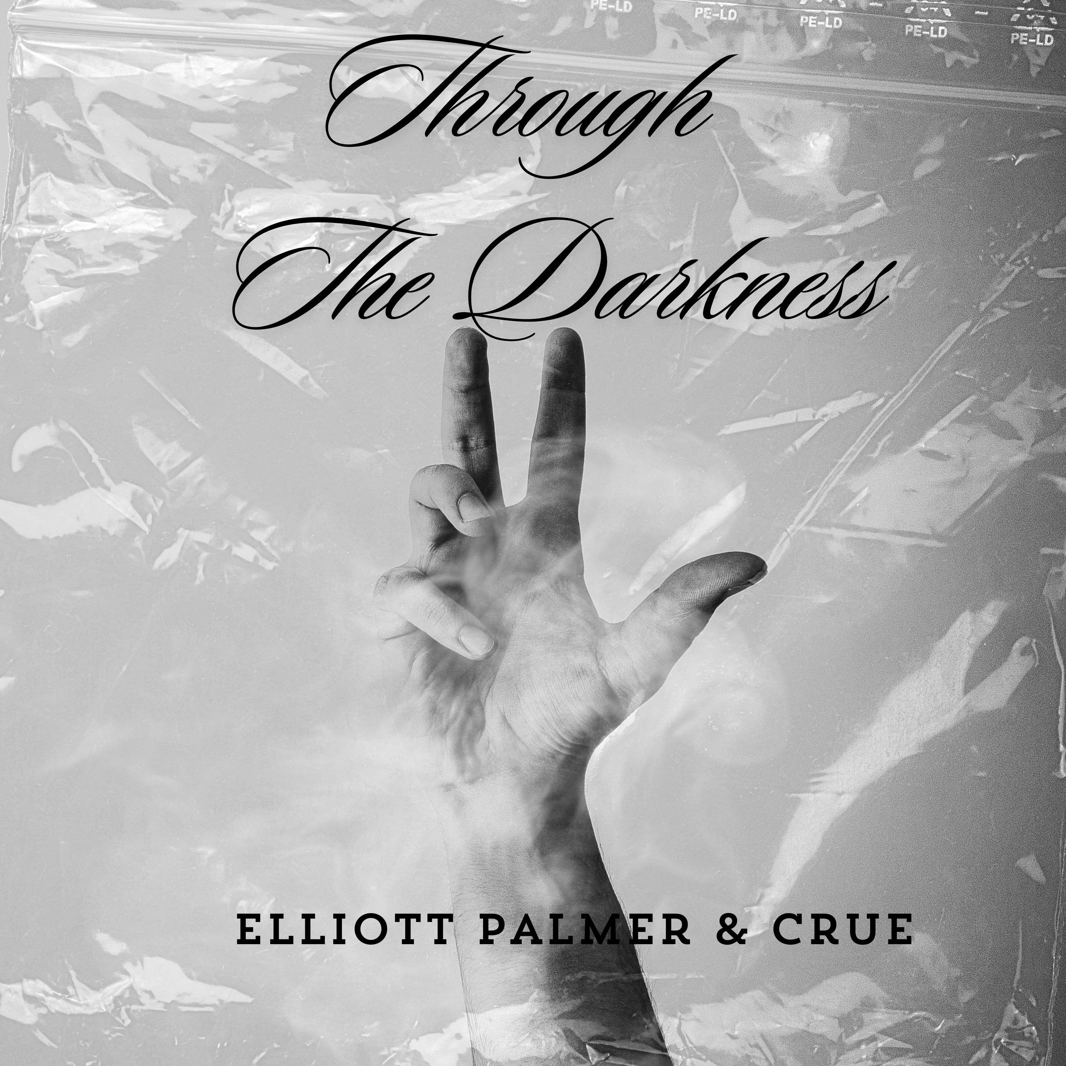 Through The Darkness artwork