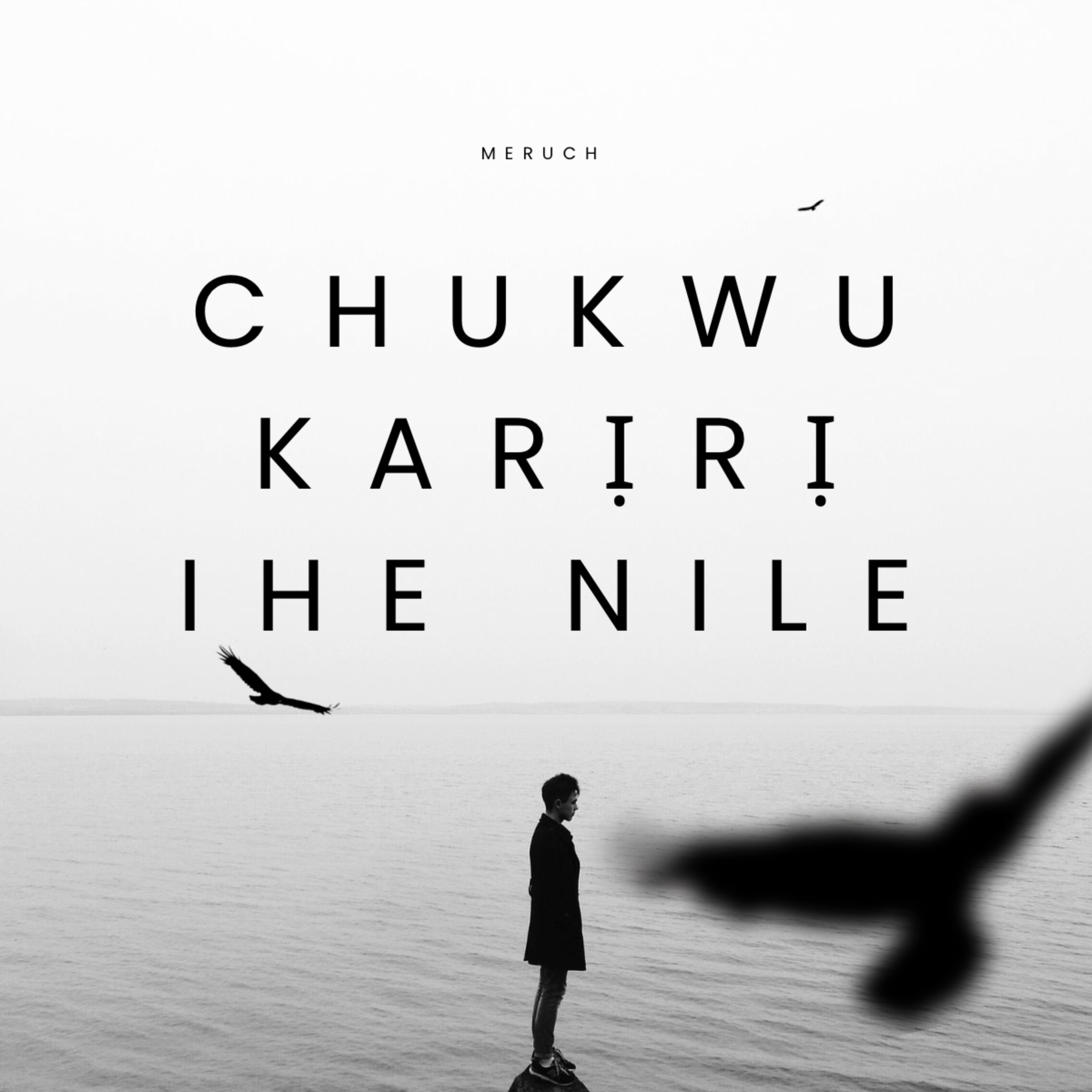 chukwu-karịrị-ihe-nile by MERUCH cover art