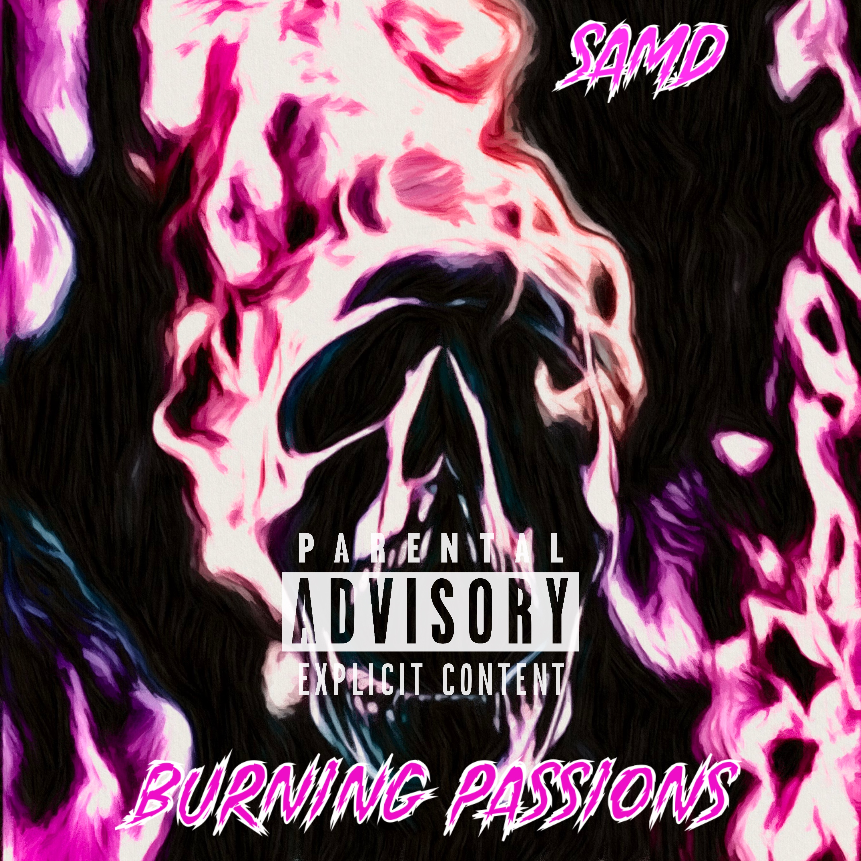 Burning Passions artwork