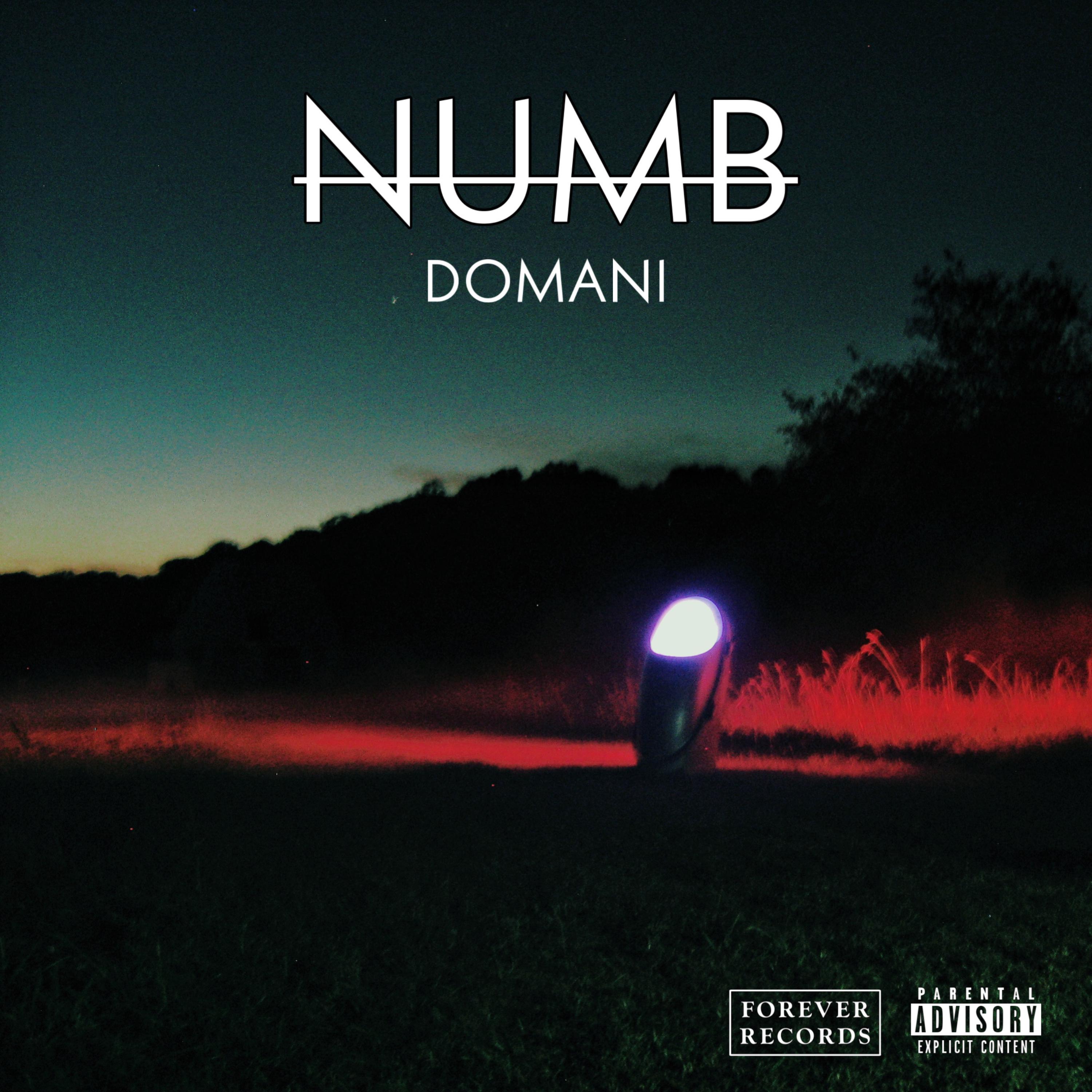 Numb artwork