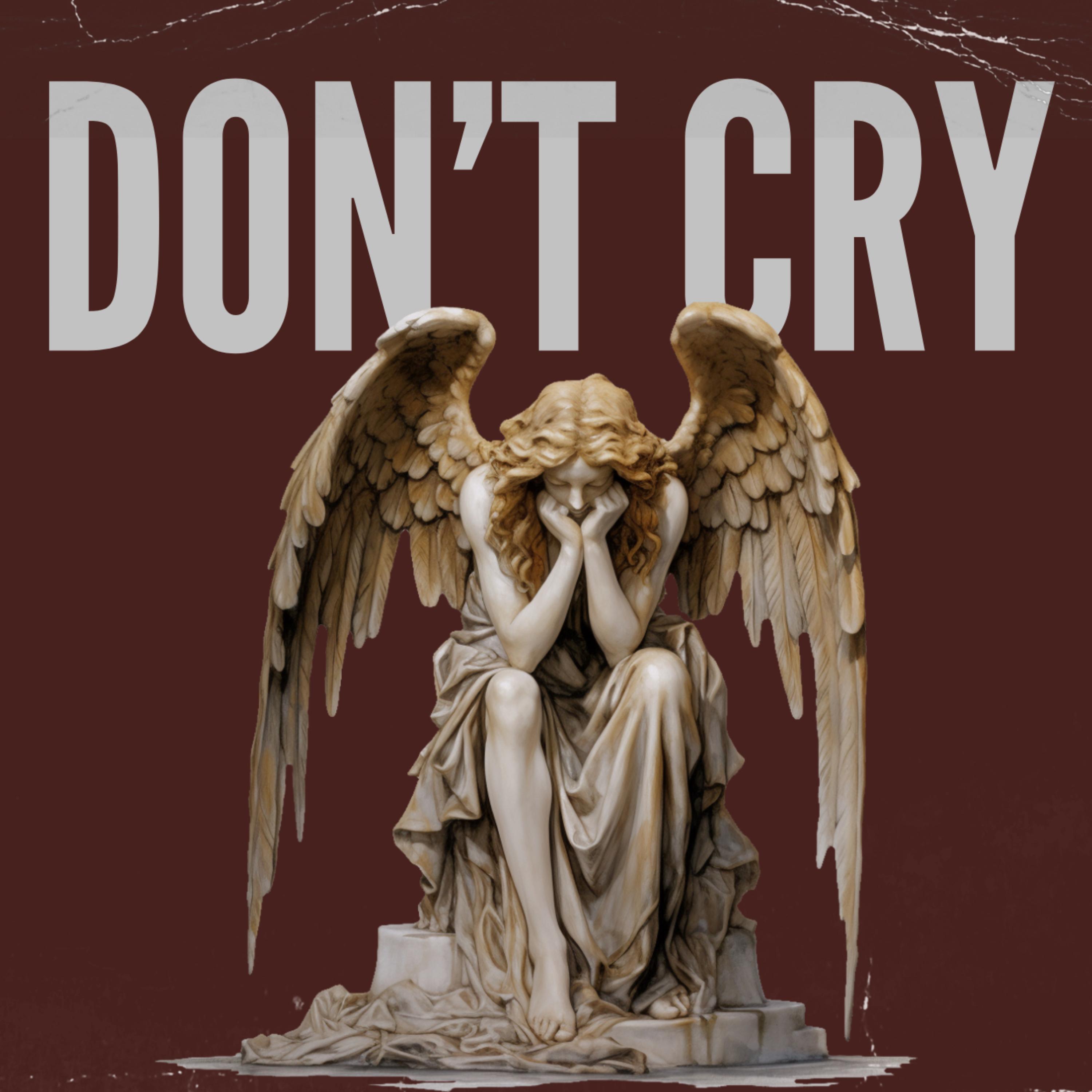 Don't Cry by Lil Mikey cover art
