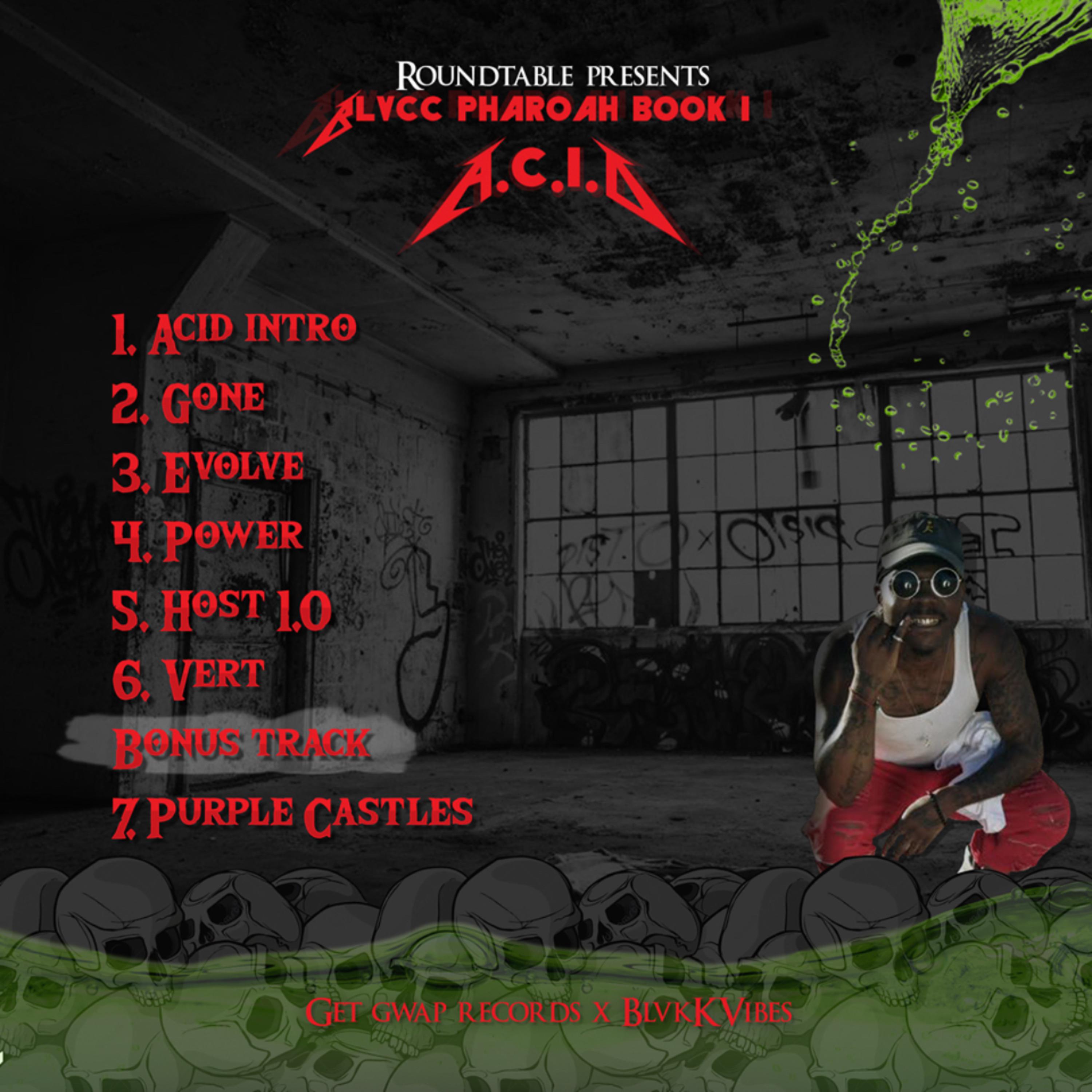 Blvck Pharoah Book 1: A.C.I.D. by Rio Stvr cover art
