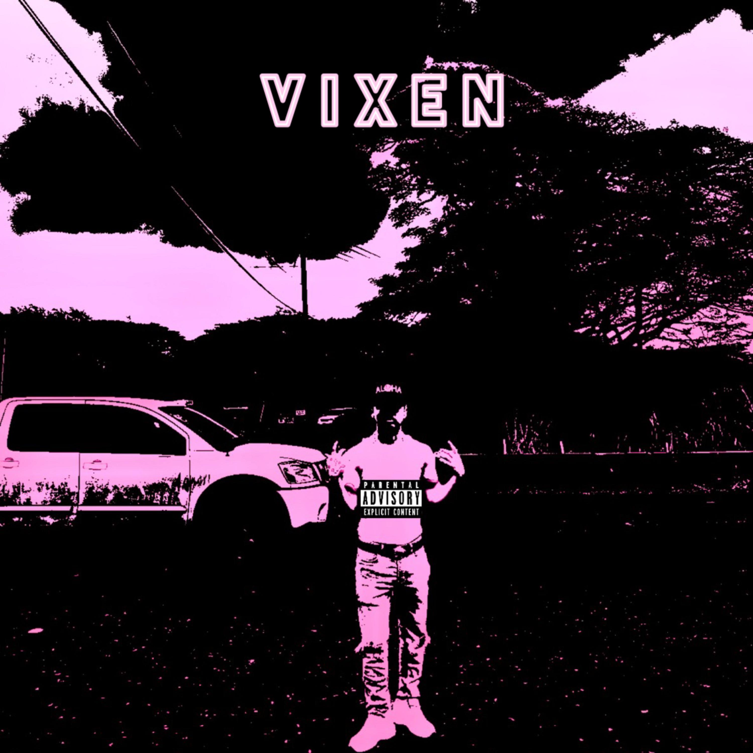 Vixen artwork