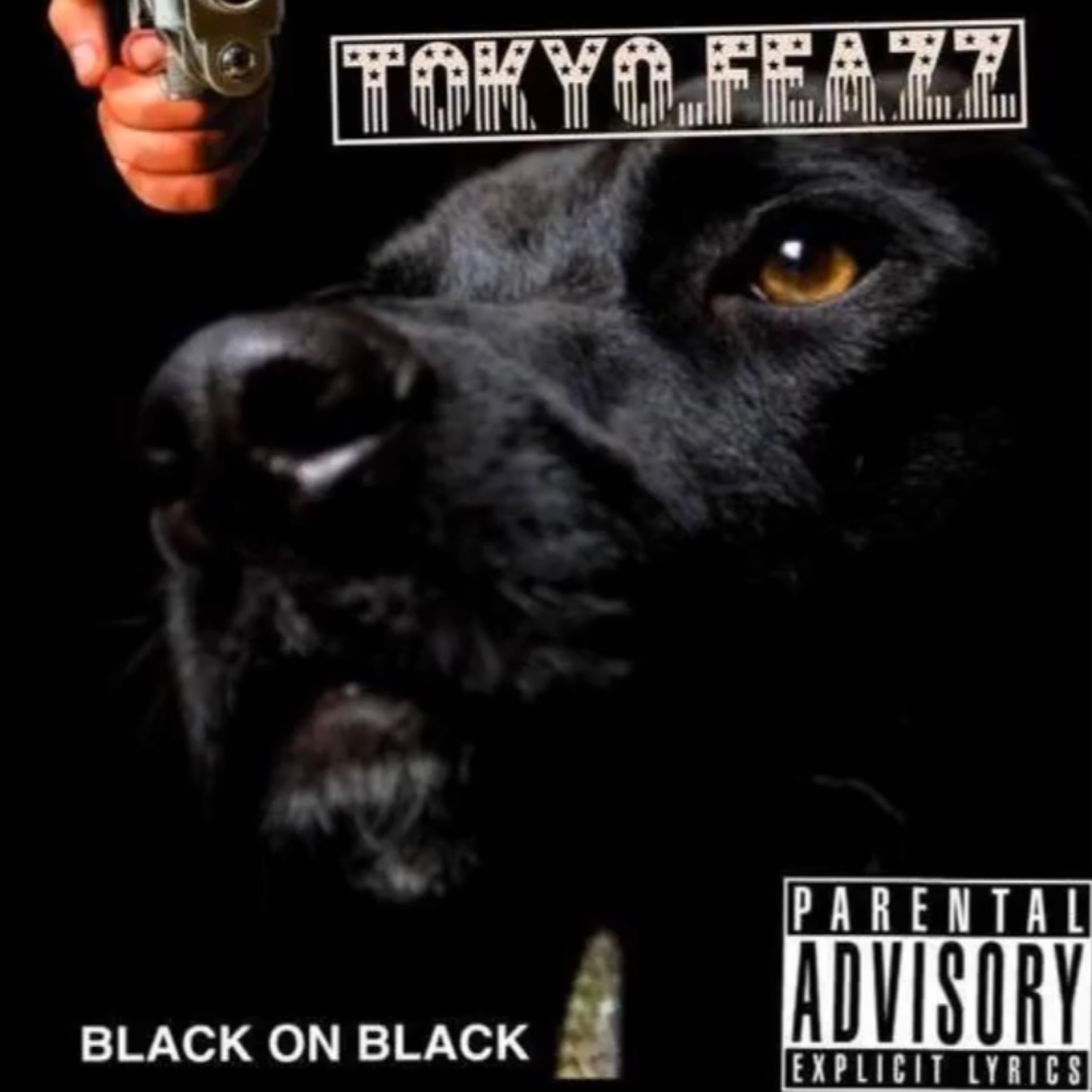 Black On Black by Feazz$ cover art