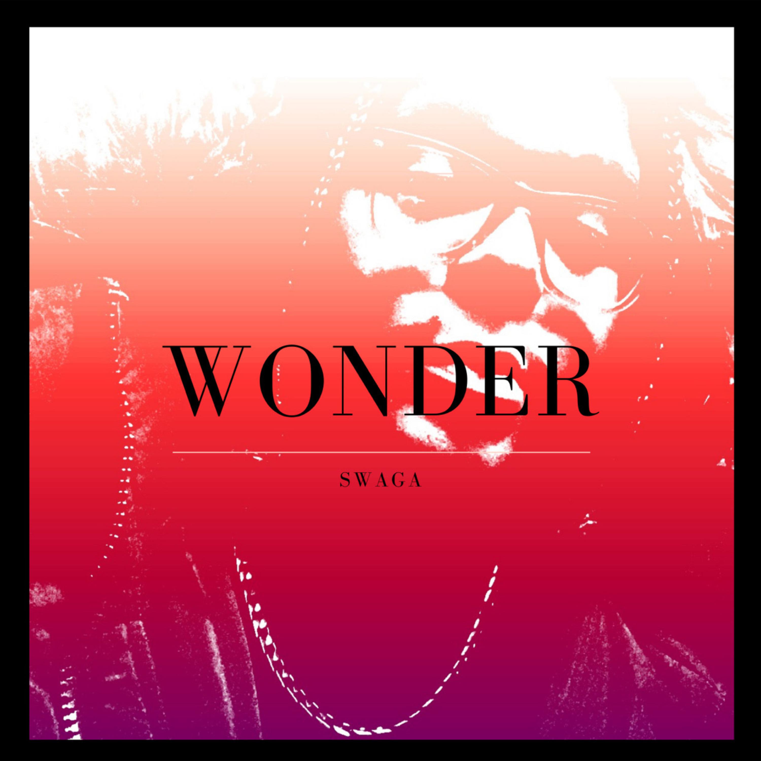 Wonder artwork