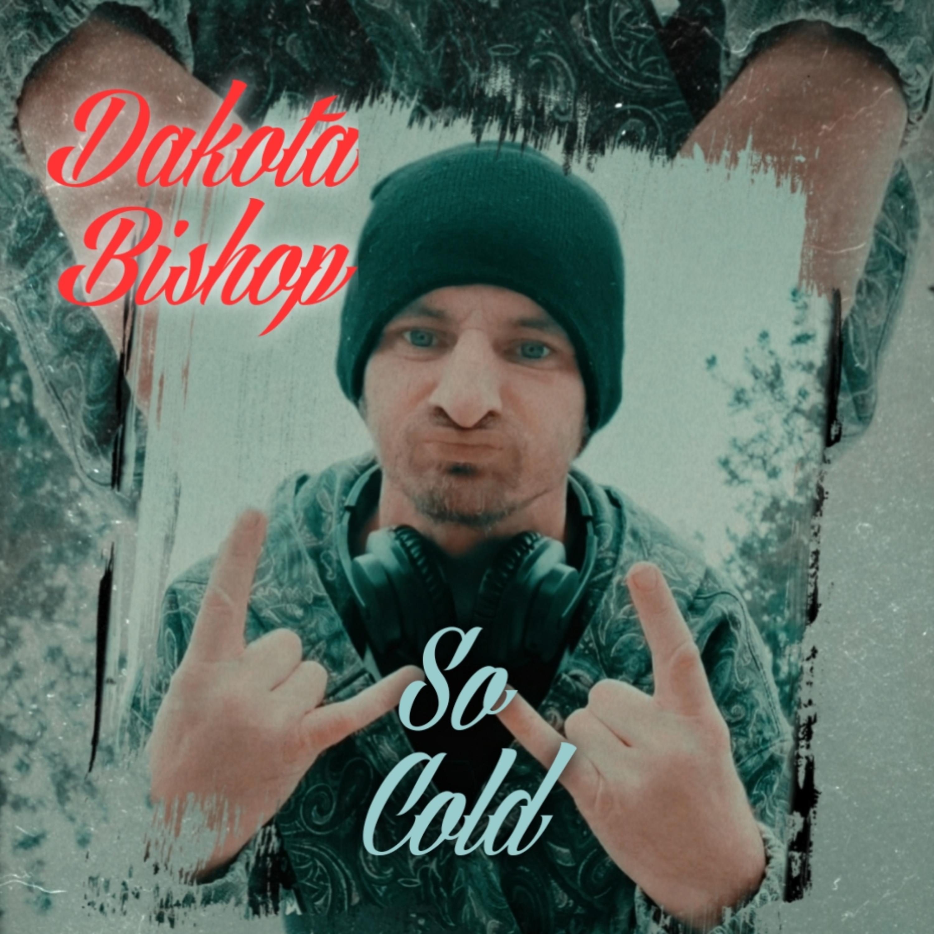 So Cold by Dakota Bishop cover art