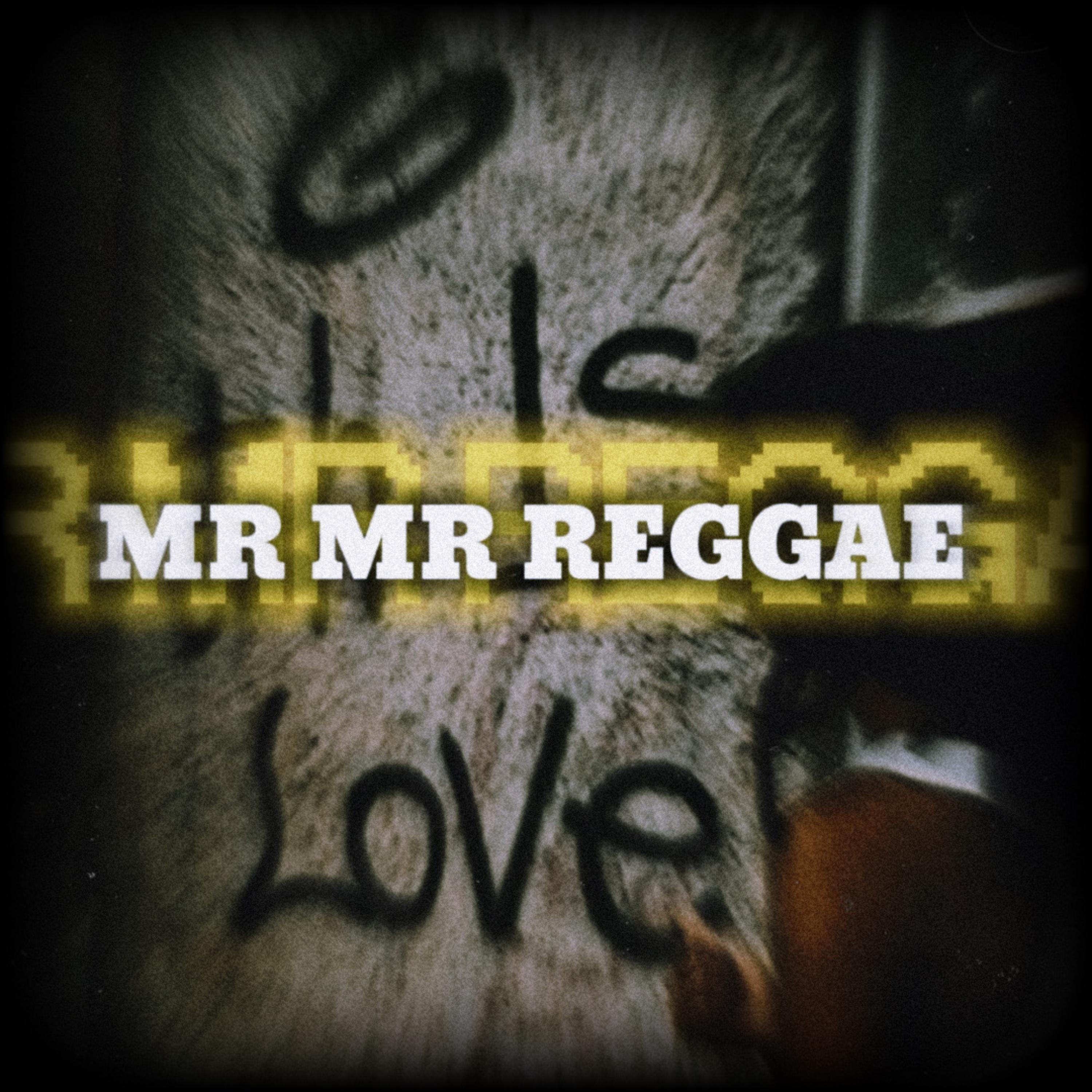 MR MR REGGAE artwork