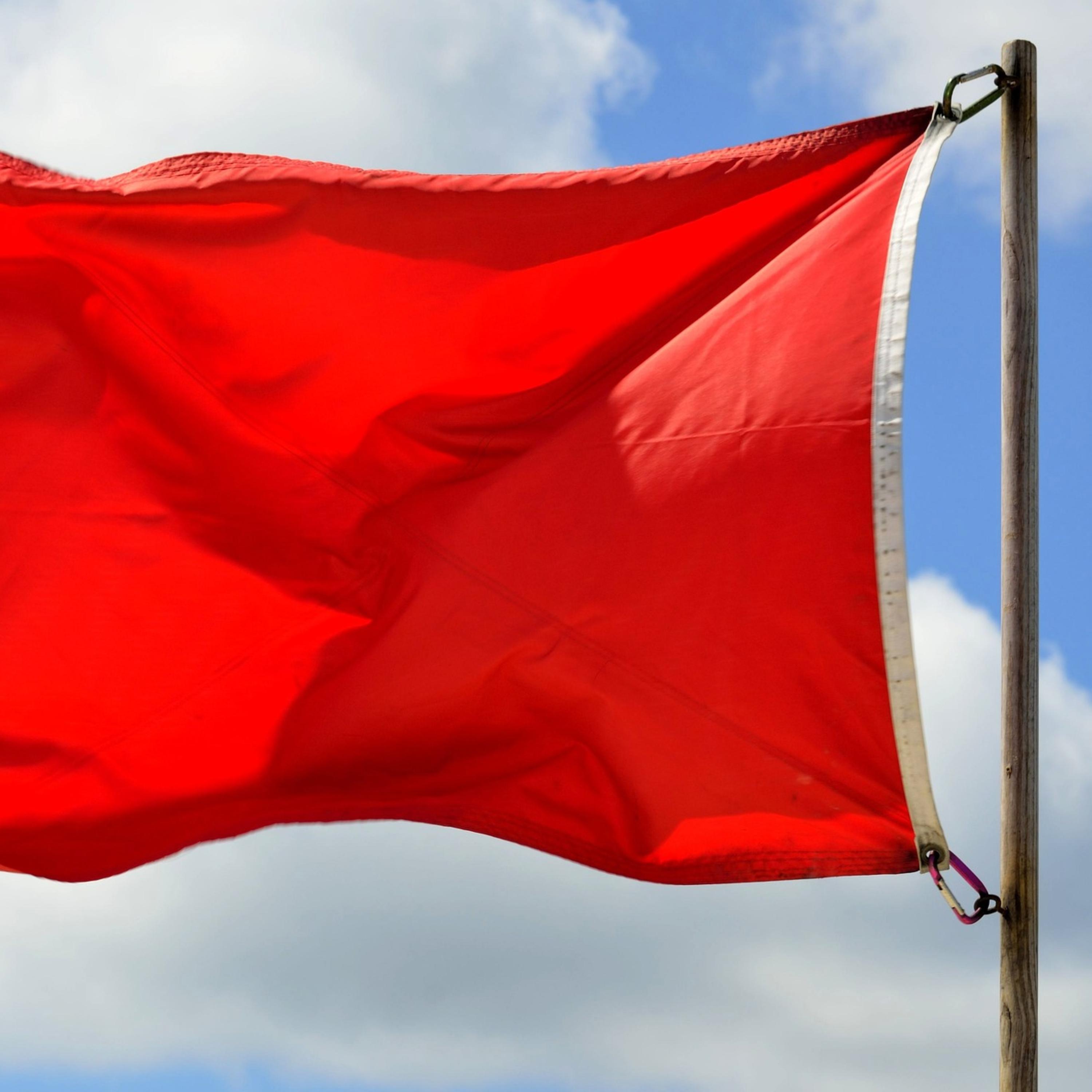 Red Flags artwork