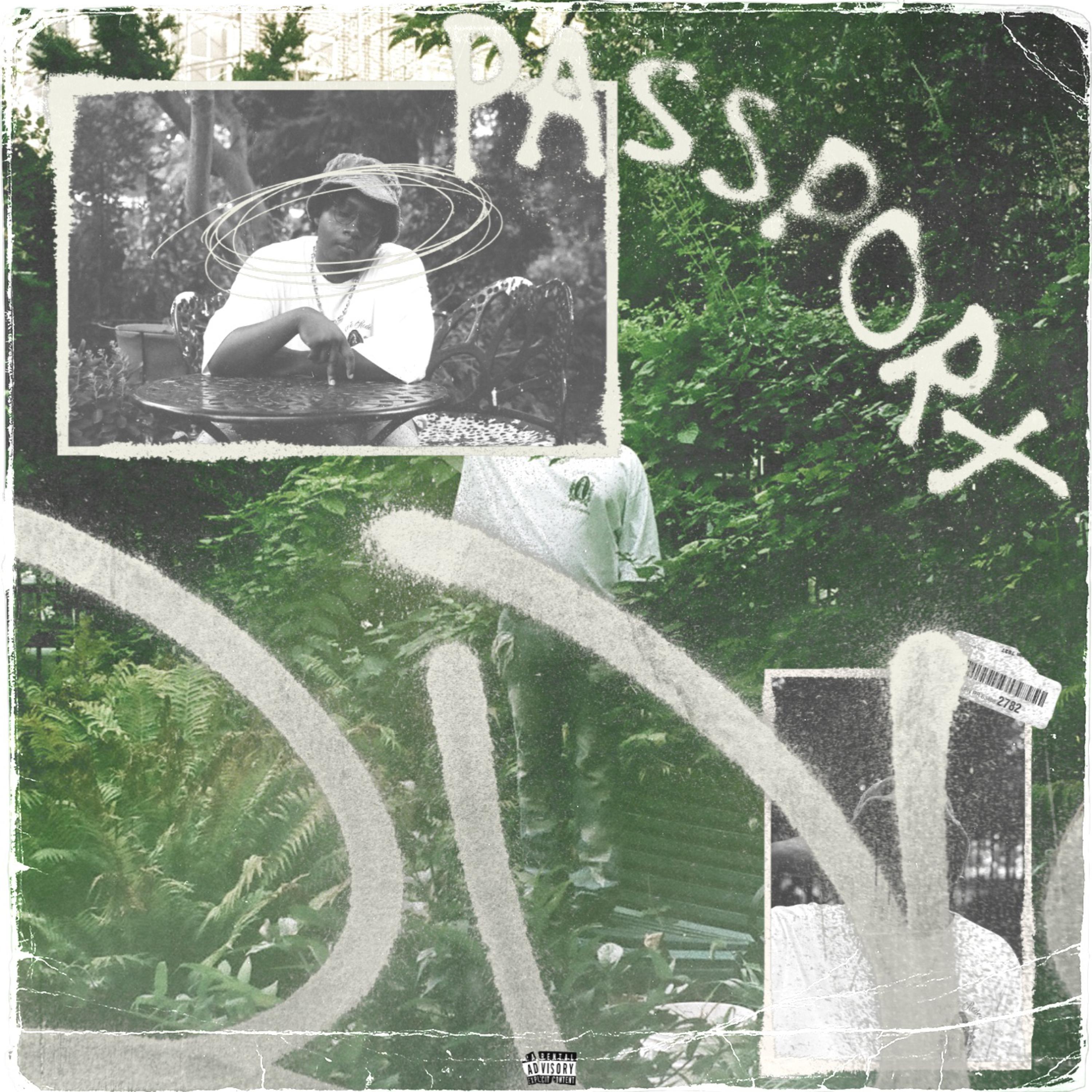 PASSPORT artwork