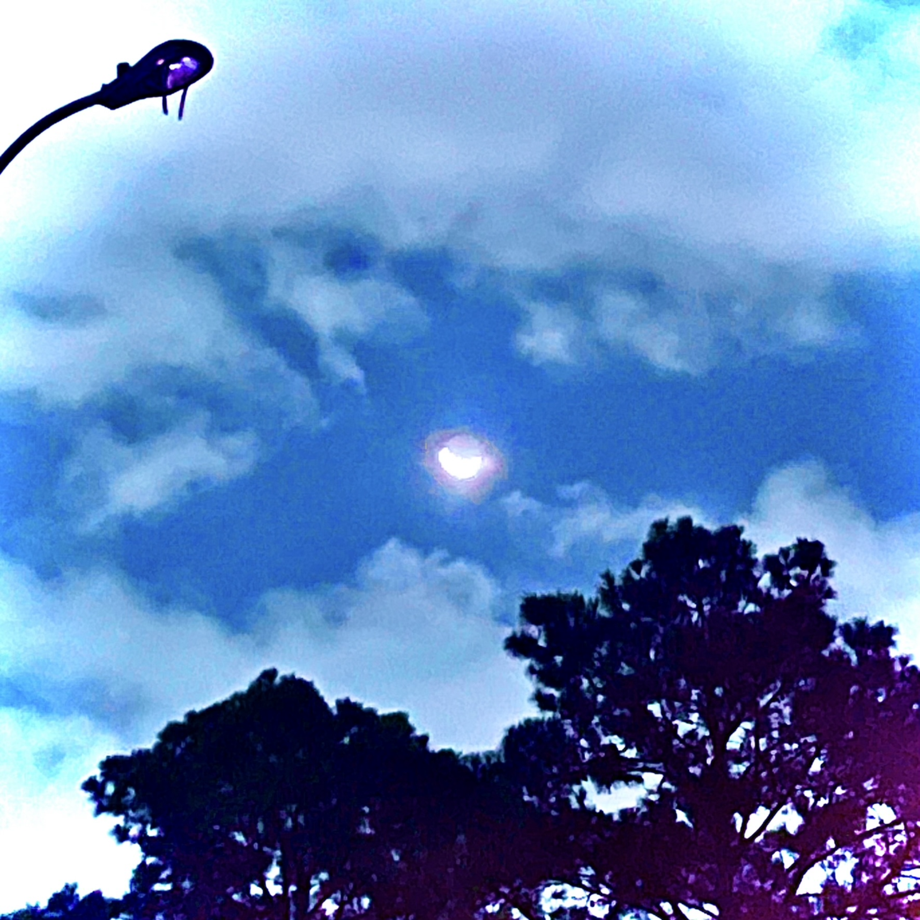 Crush (for the free) artwork