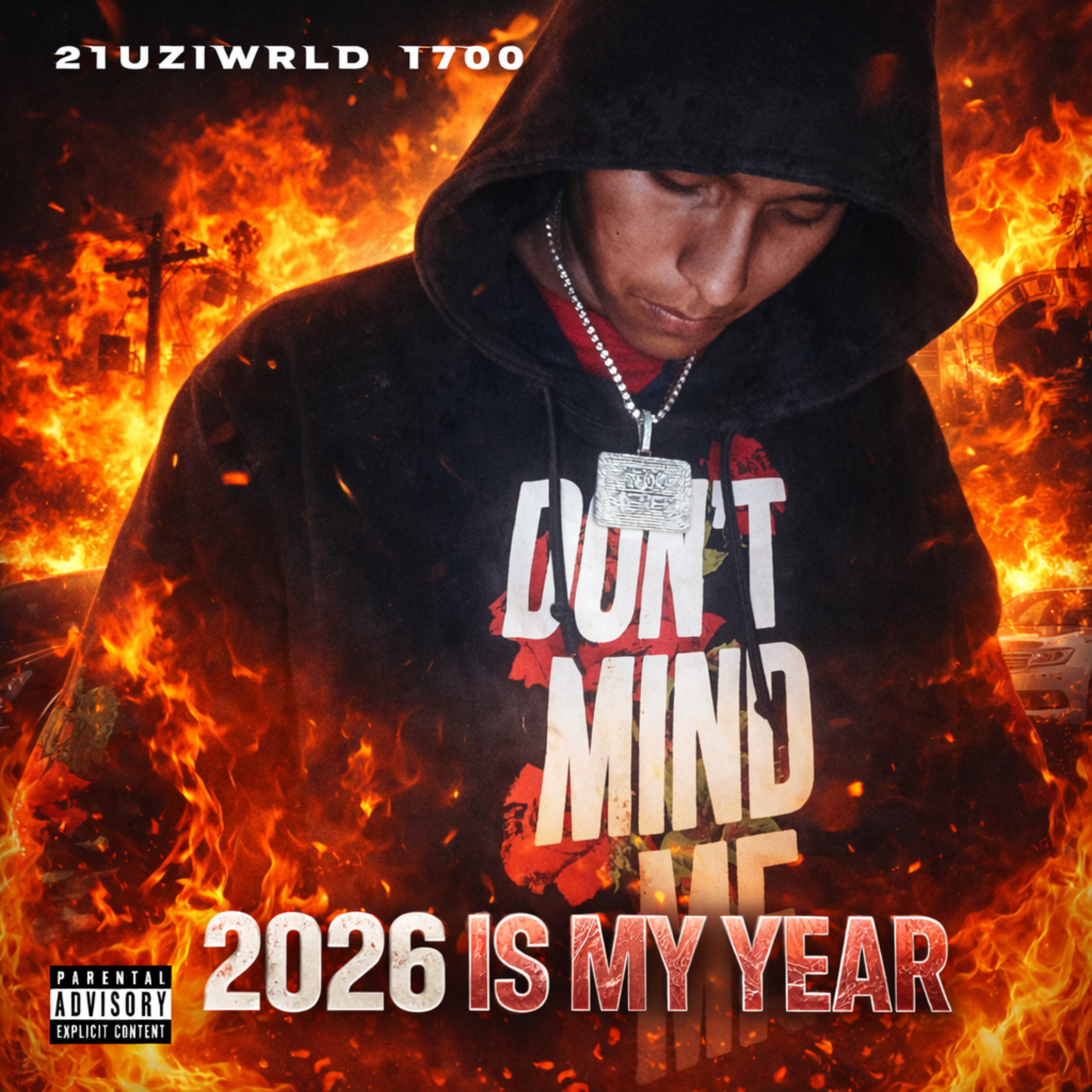 2026 Is My Year artwork