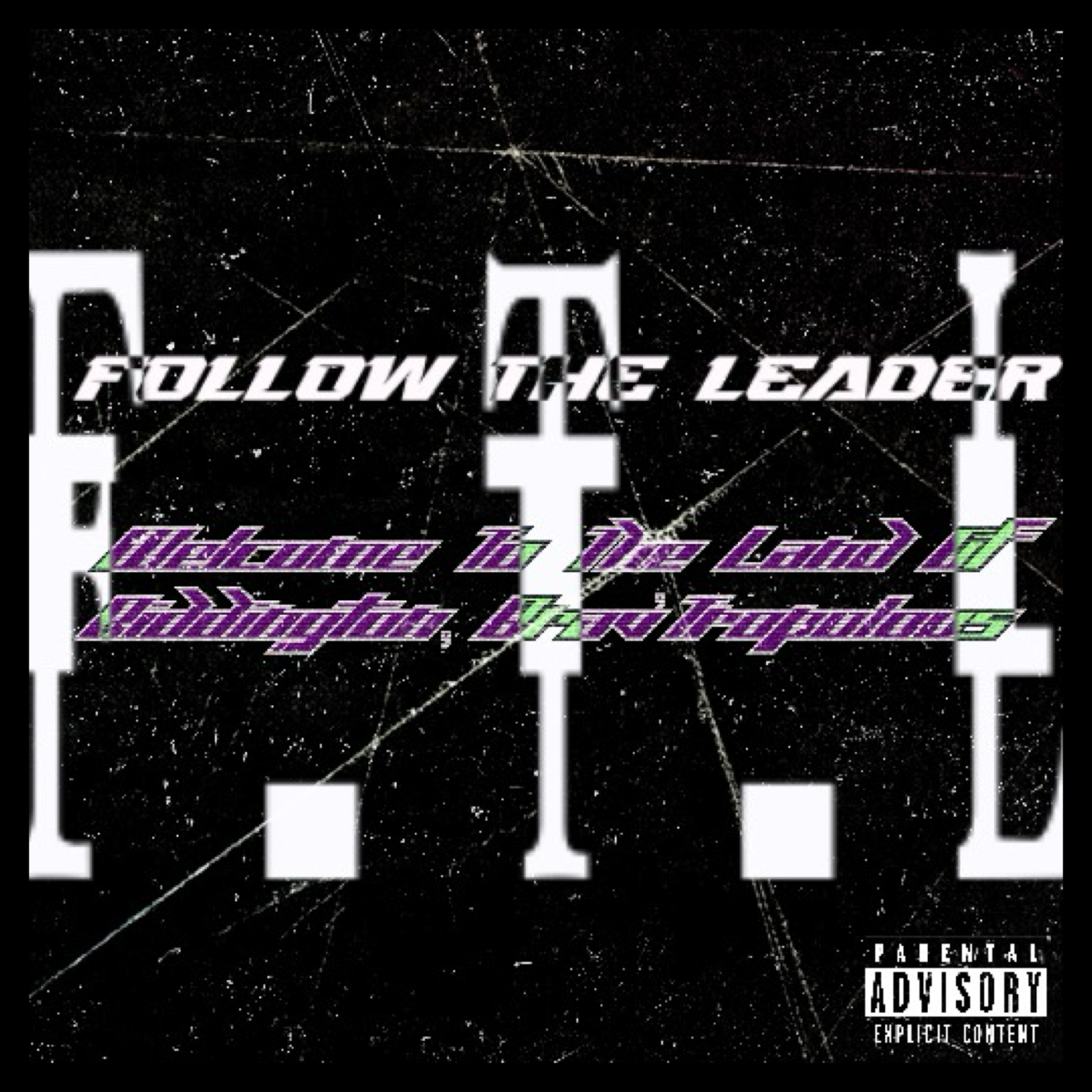 FOLLOW THE LEADER artwork