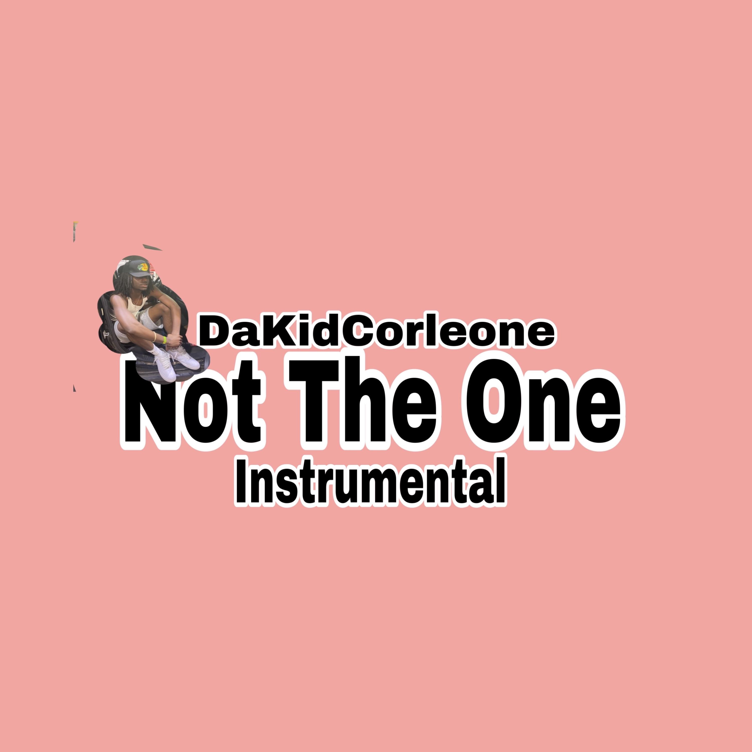 Not The One (Instrumental) artwork