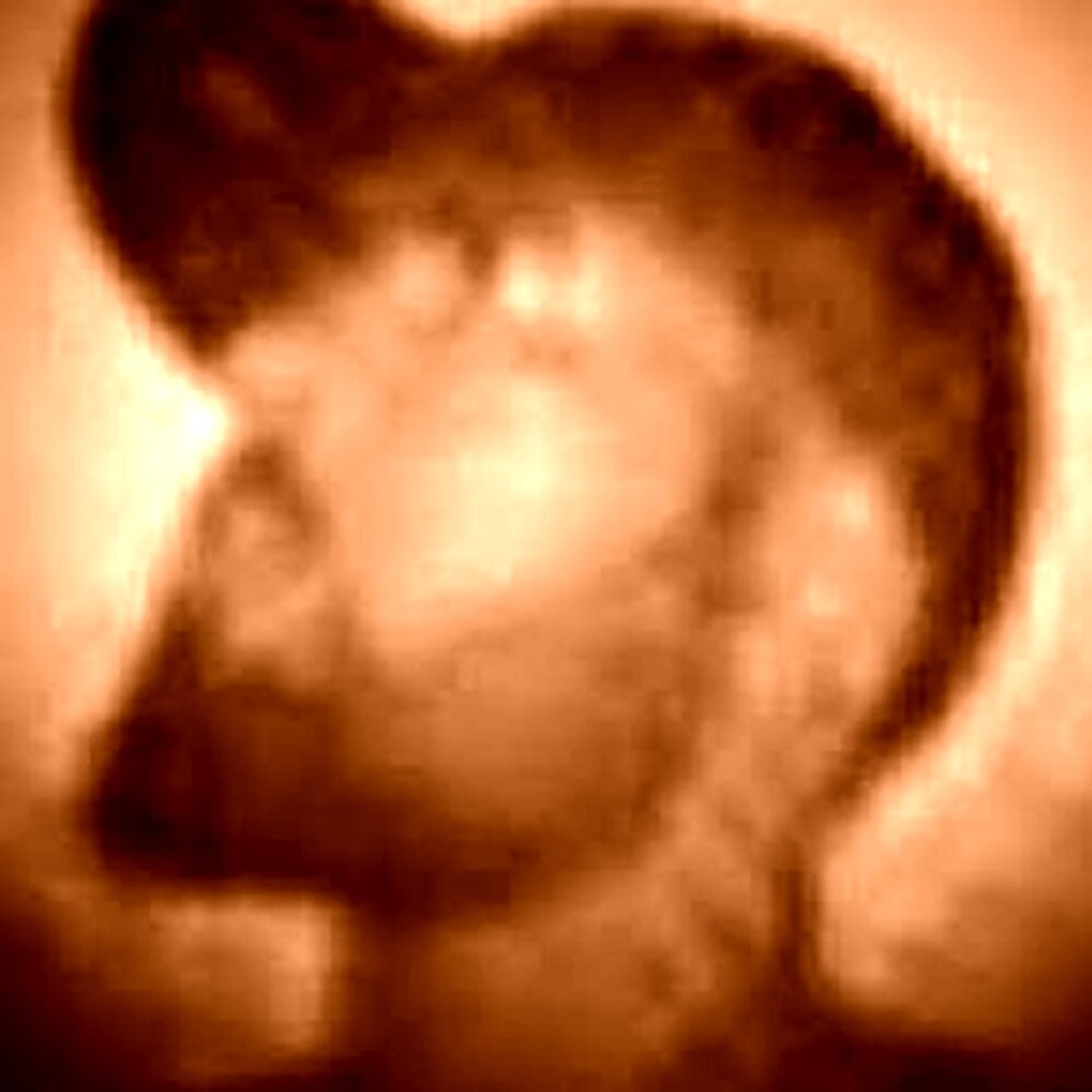 Lil' hommie  artwork