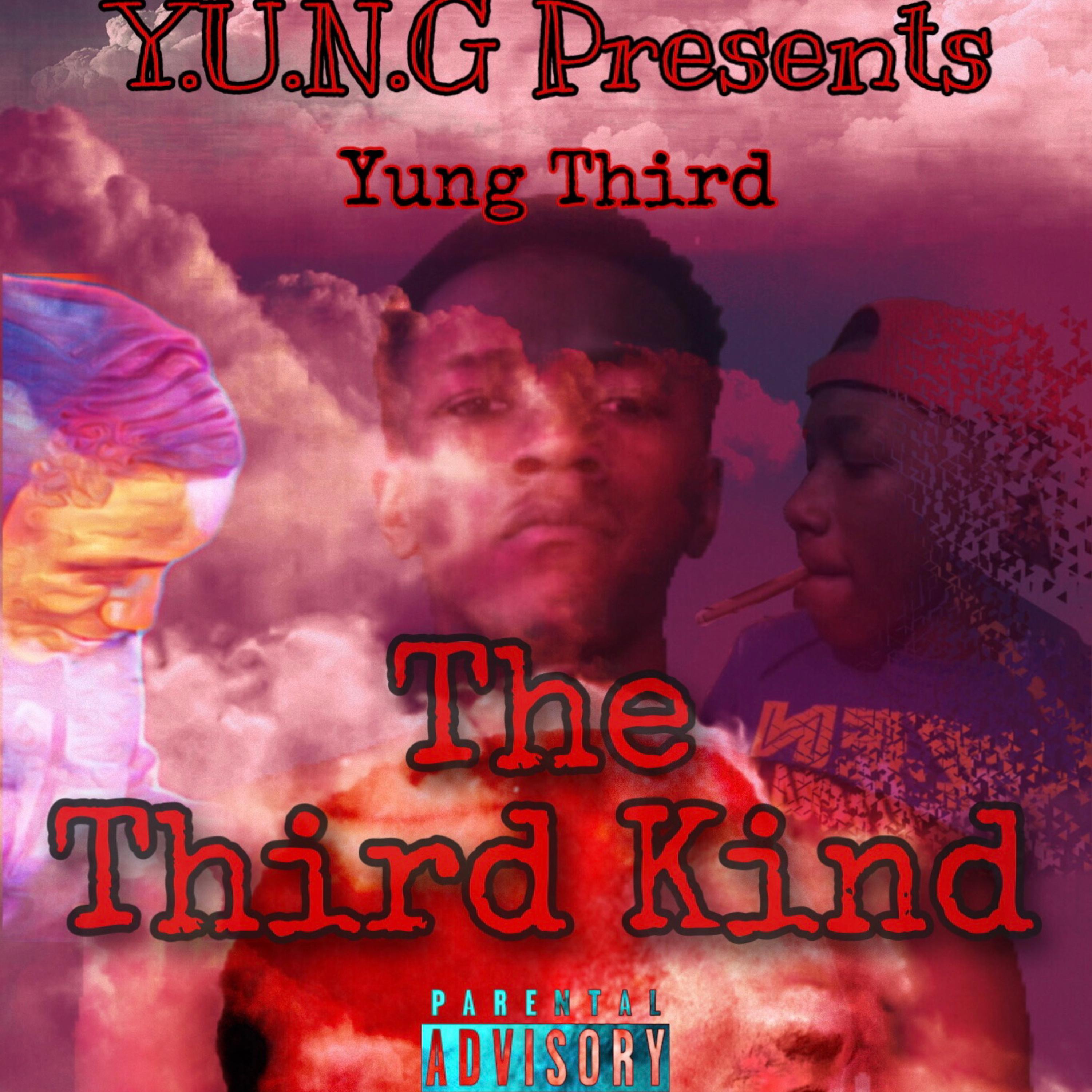The Third Kind artwork