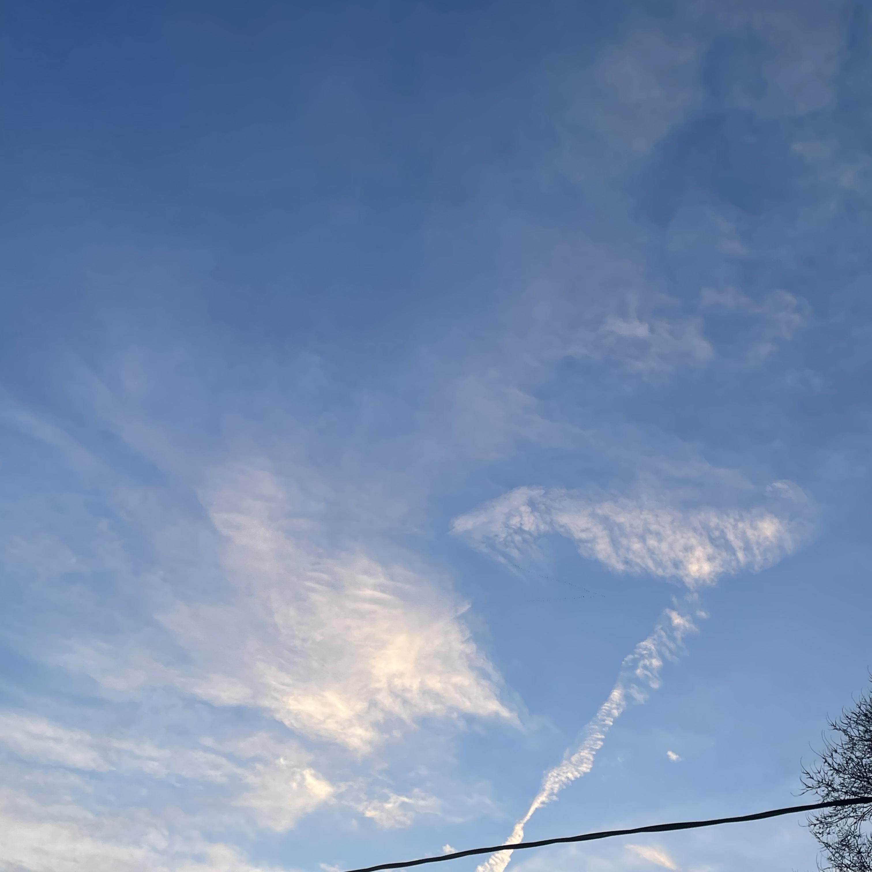 MADE SUCCESS artwork