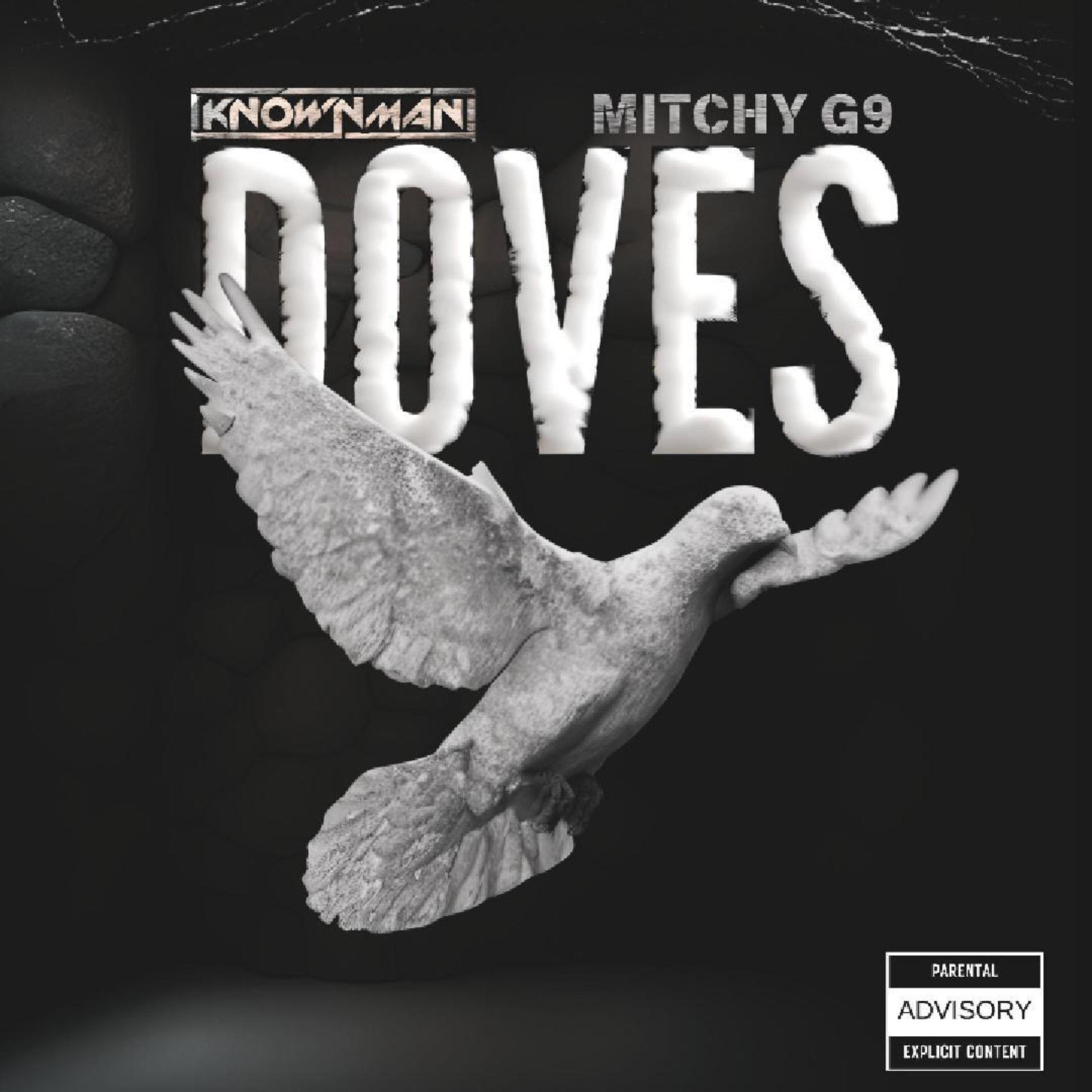 DOVES artwork