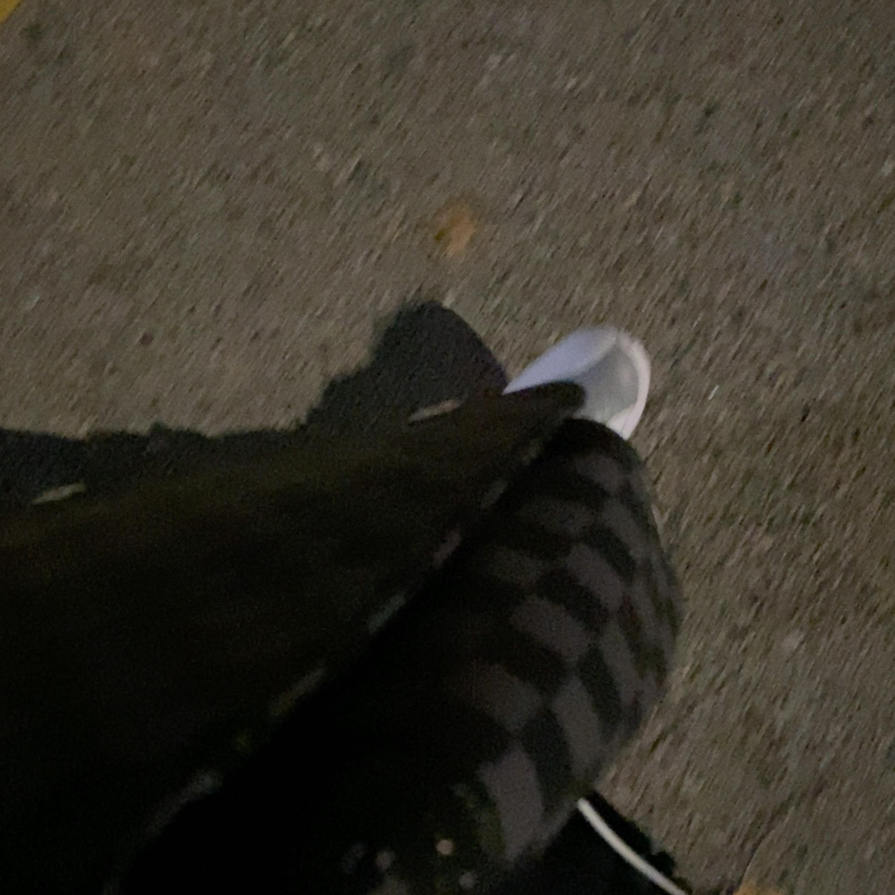 24:24 artwork
