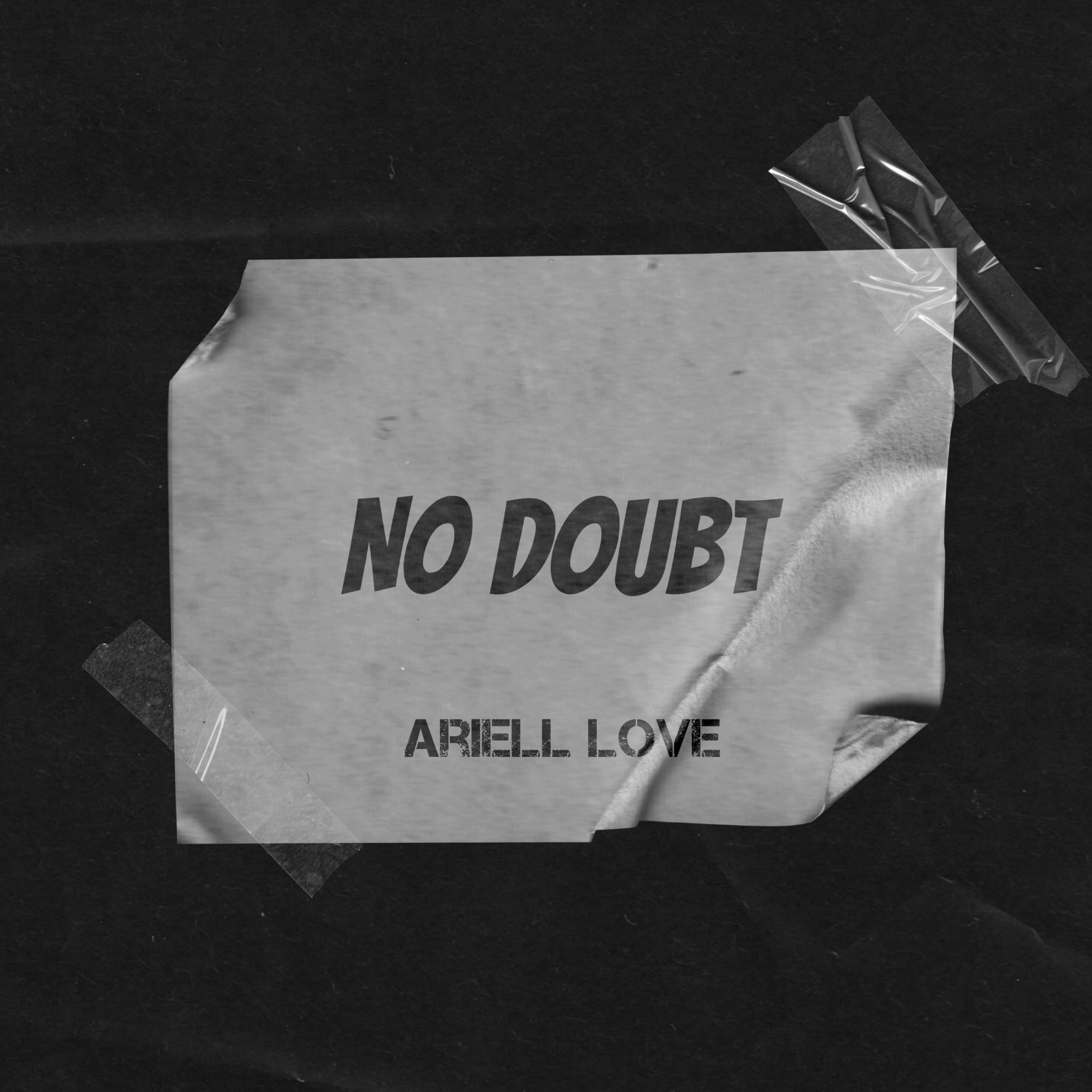 No Doubt by Ariell Love cover art