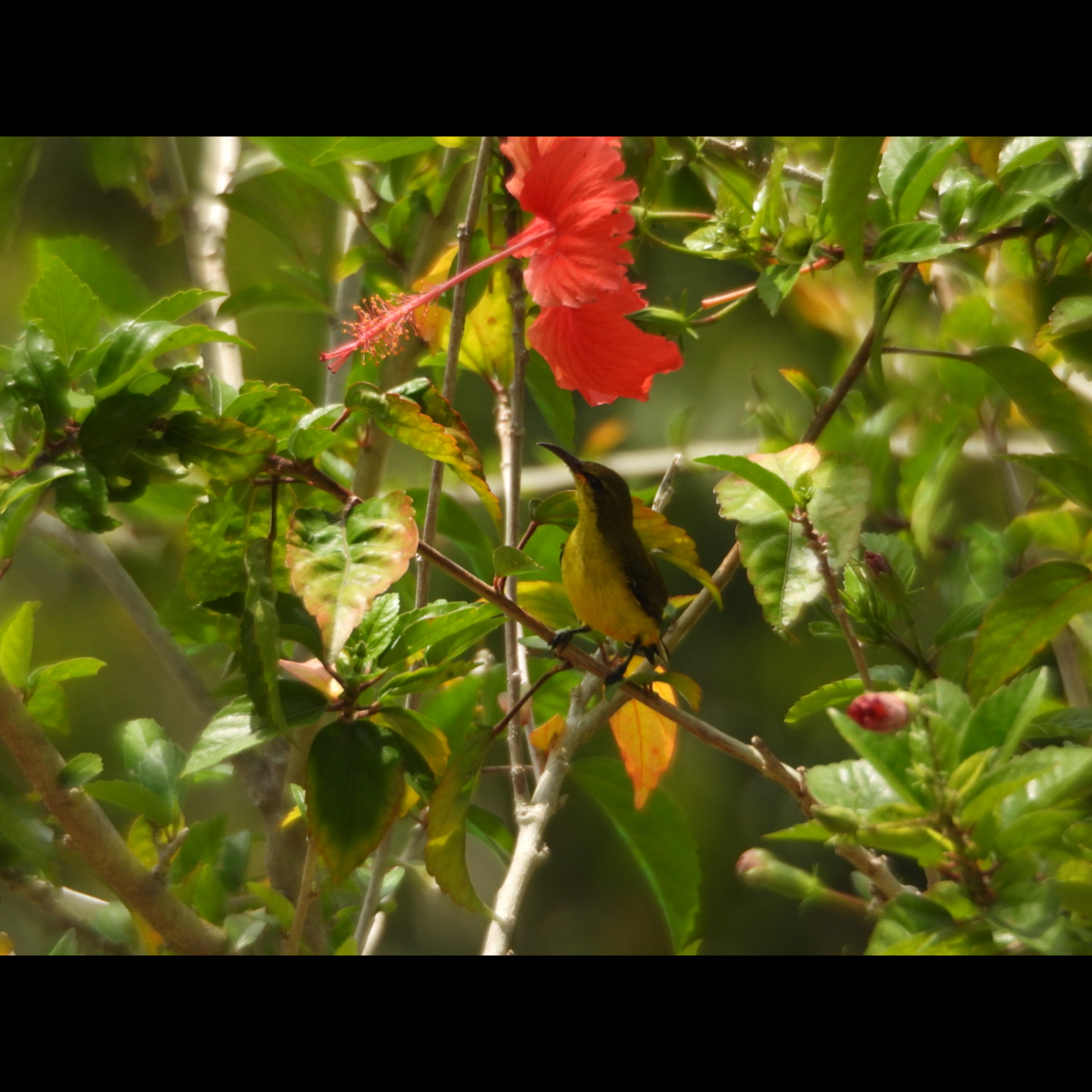 Lost Without You artwork