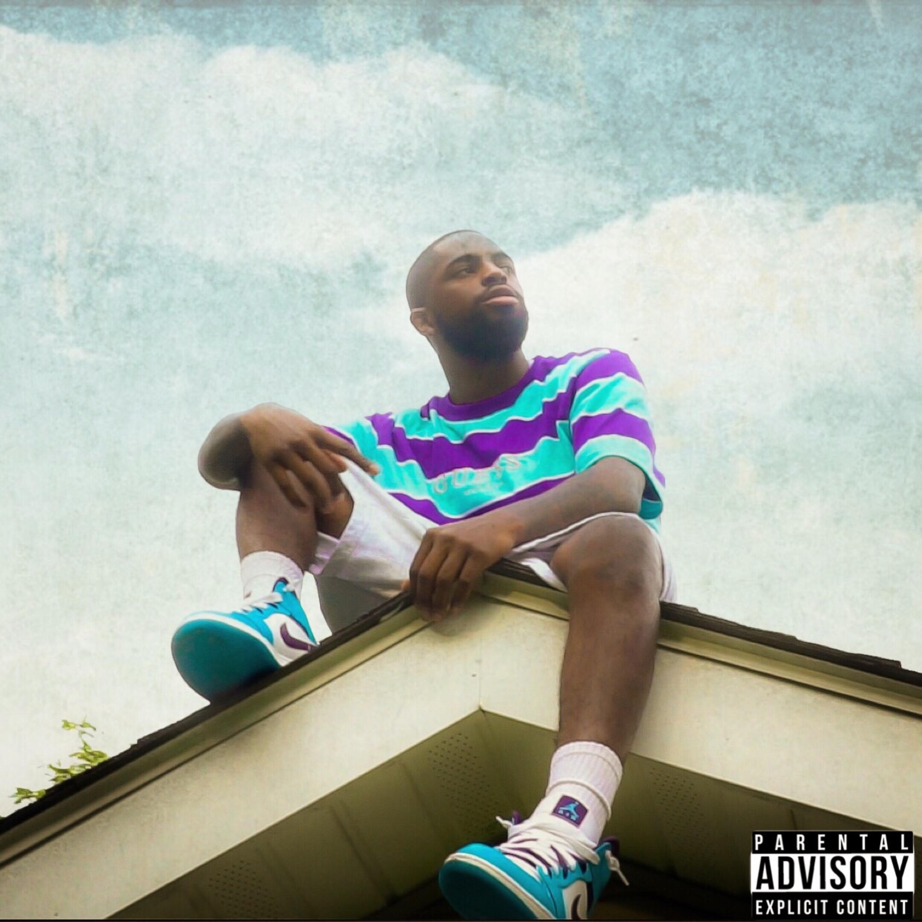 To Many Trees (TMT) artwork