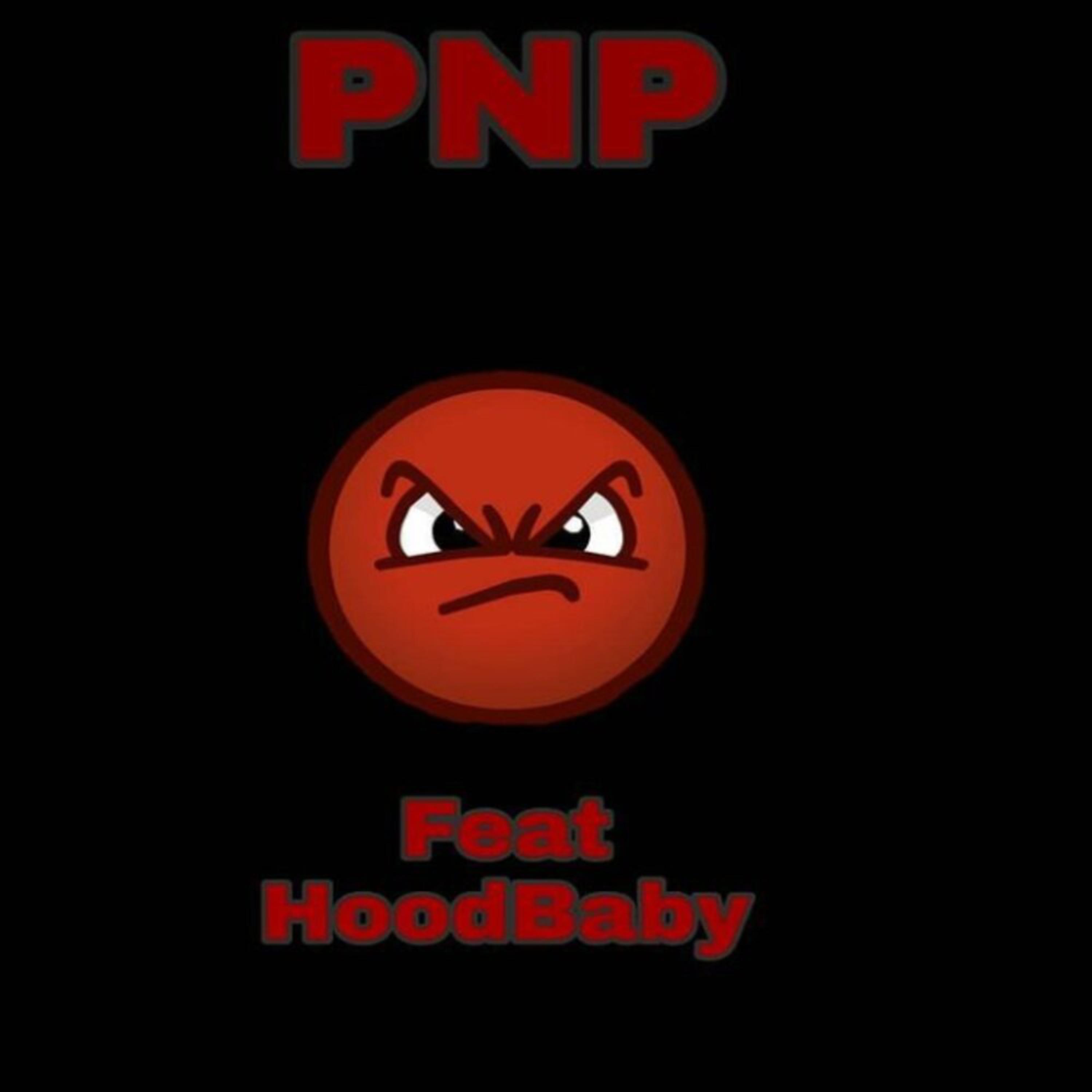 P.N.P artwork