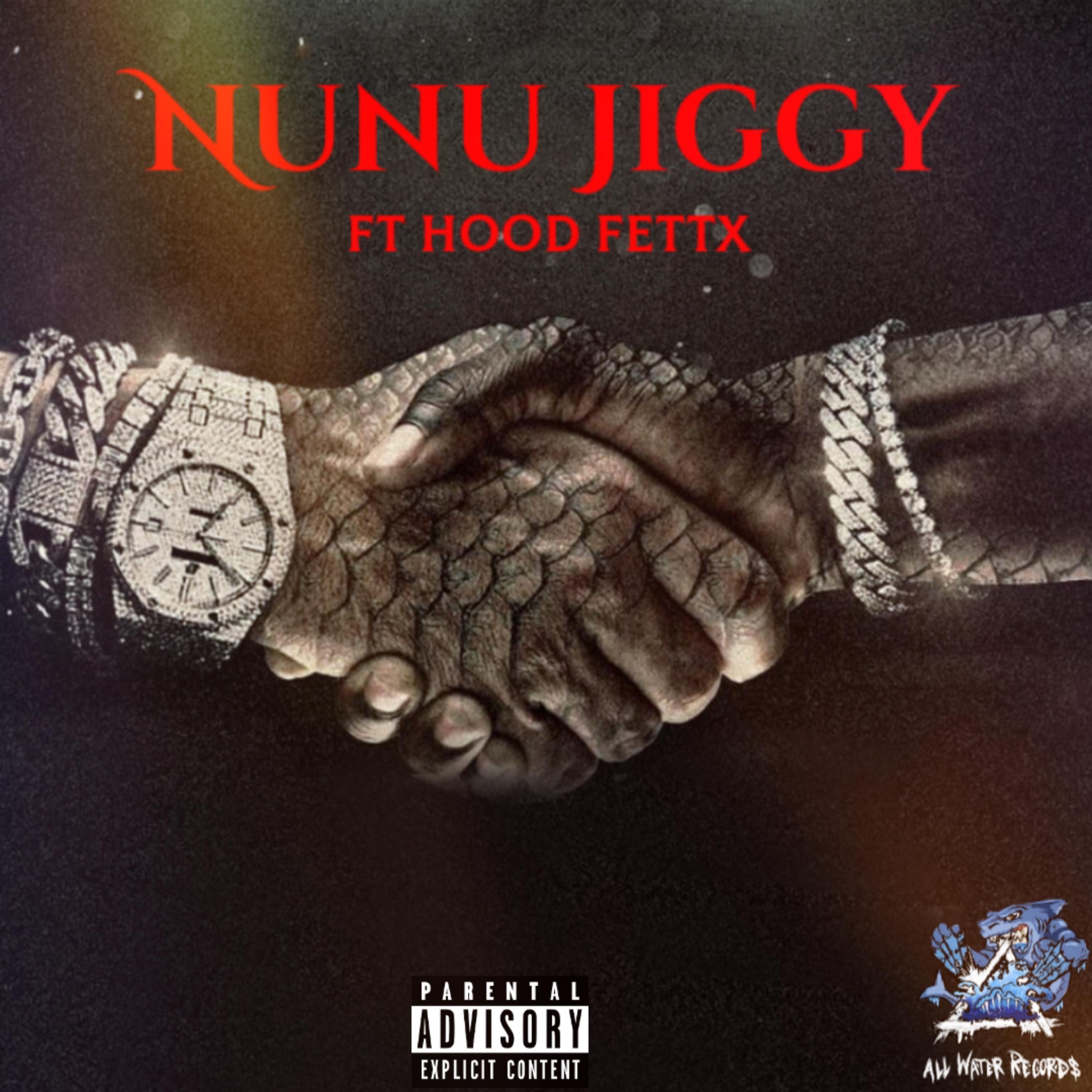 Nu Nu Jiggy artwork