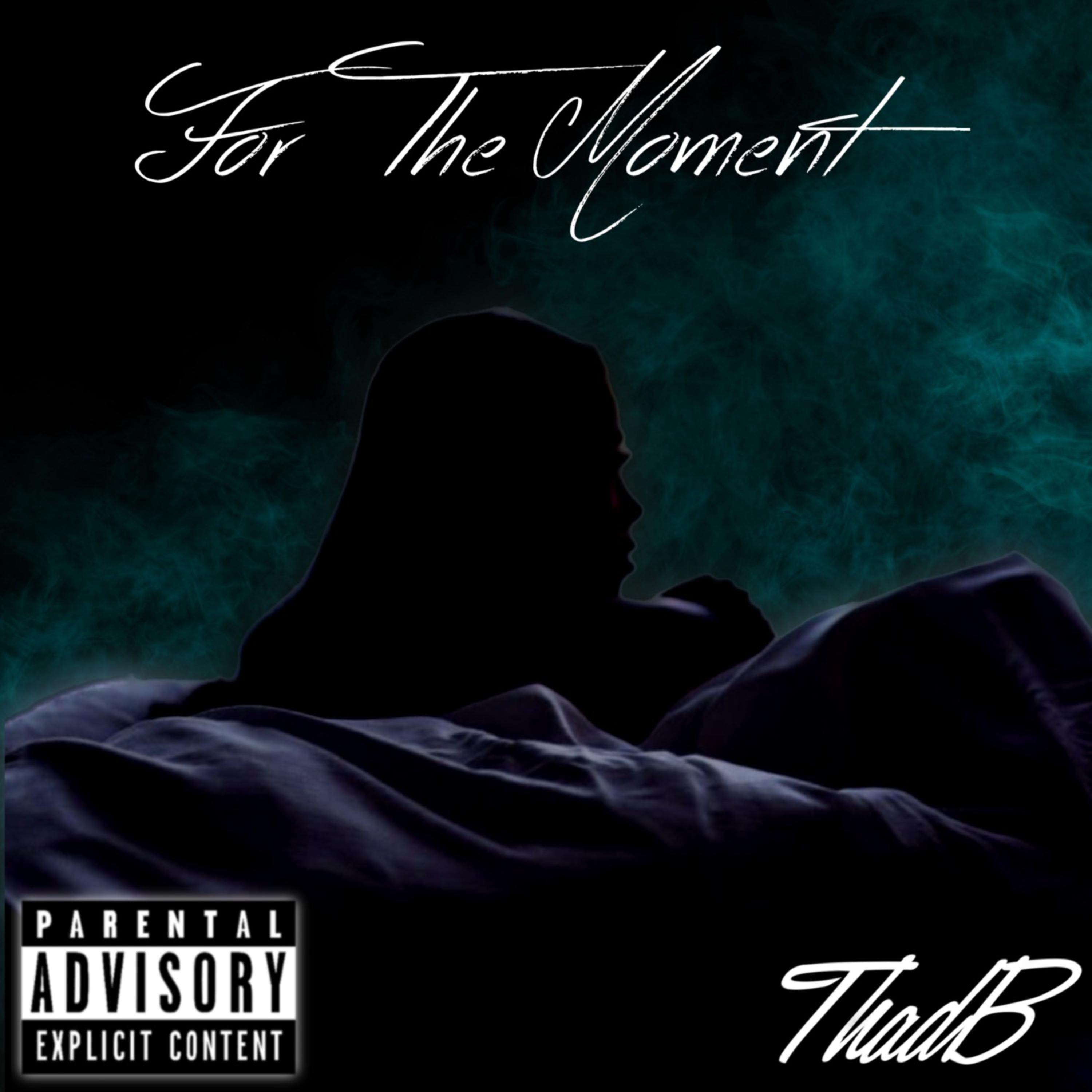 For The Moment.. artwork