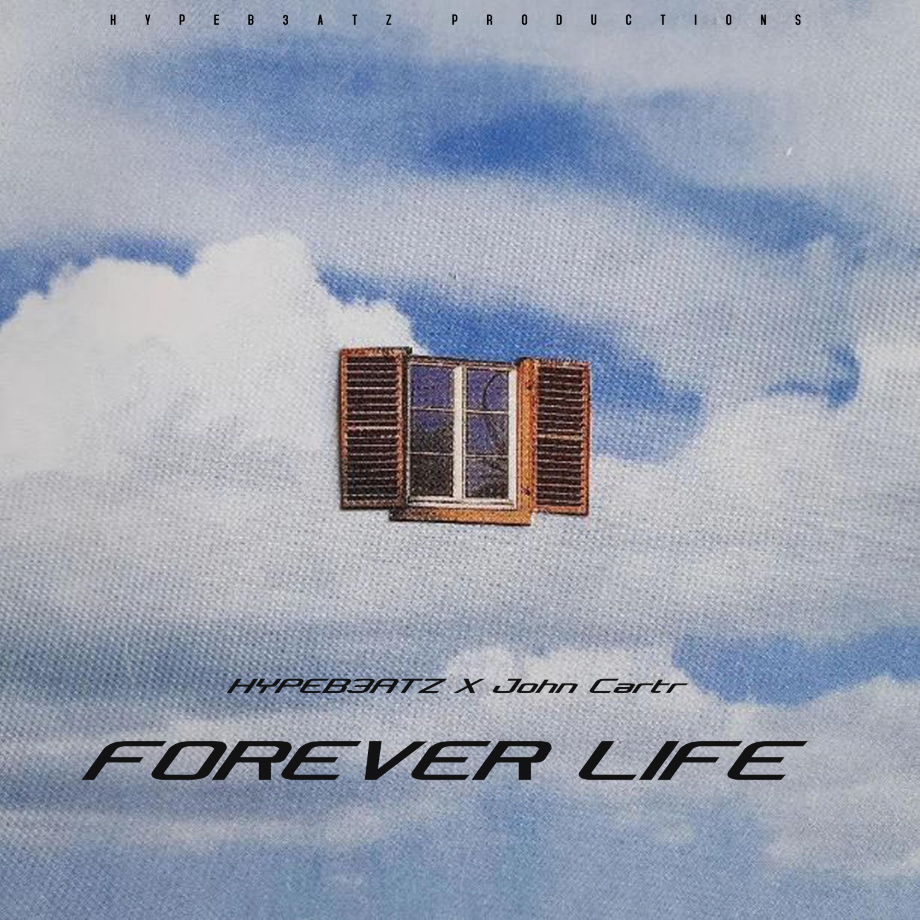 FOREVER LIFE artwork