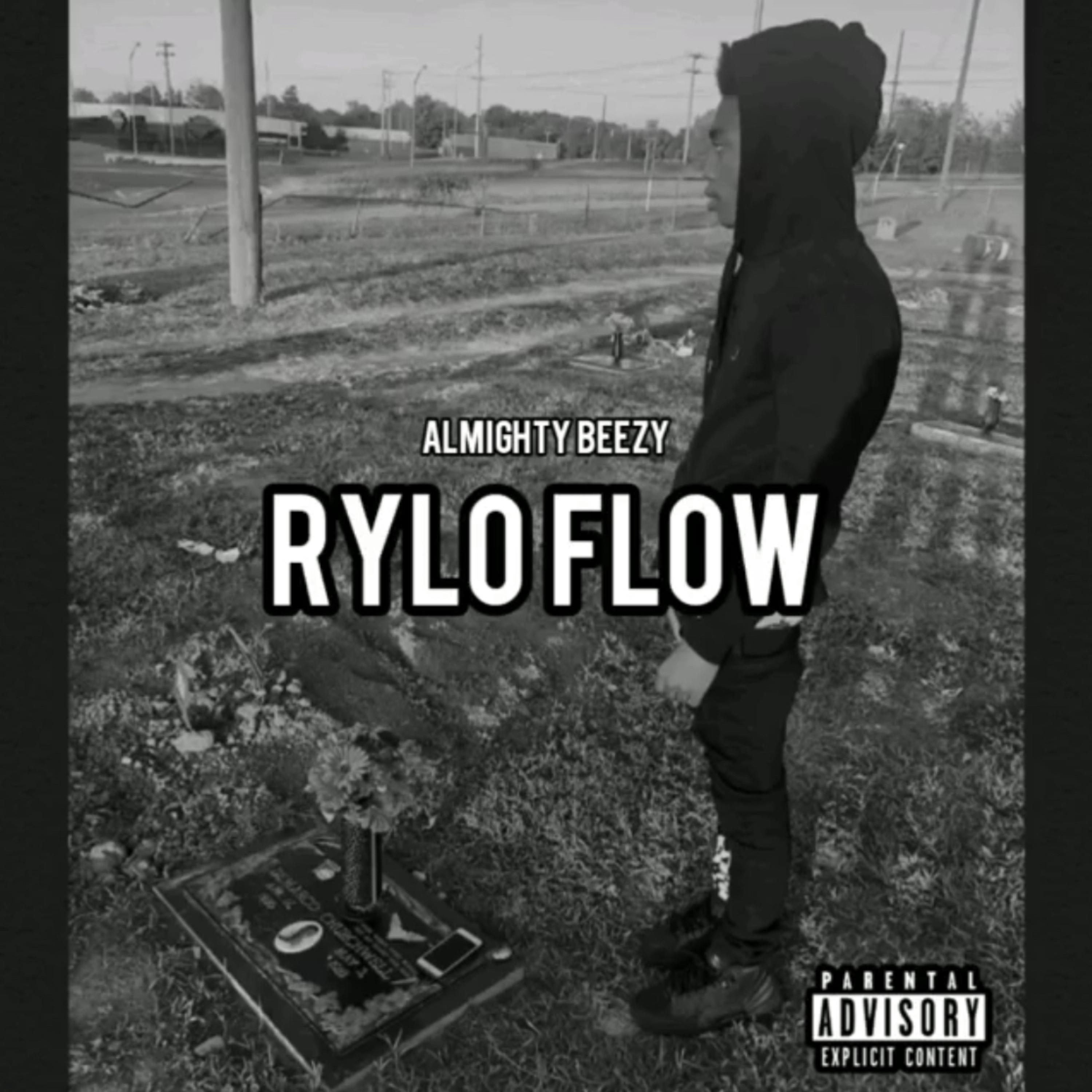 Rylo Flow artwork