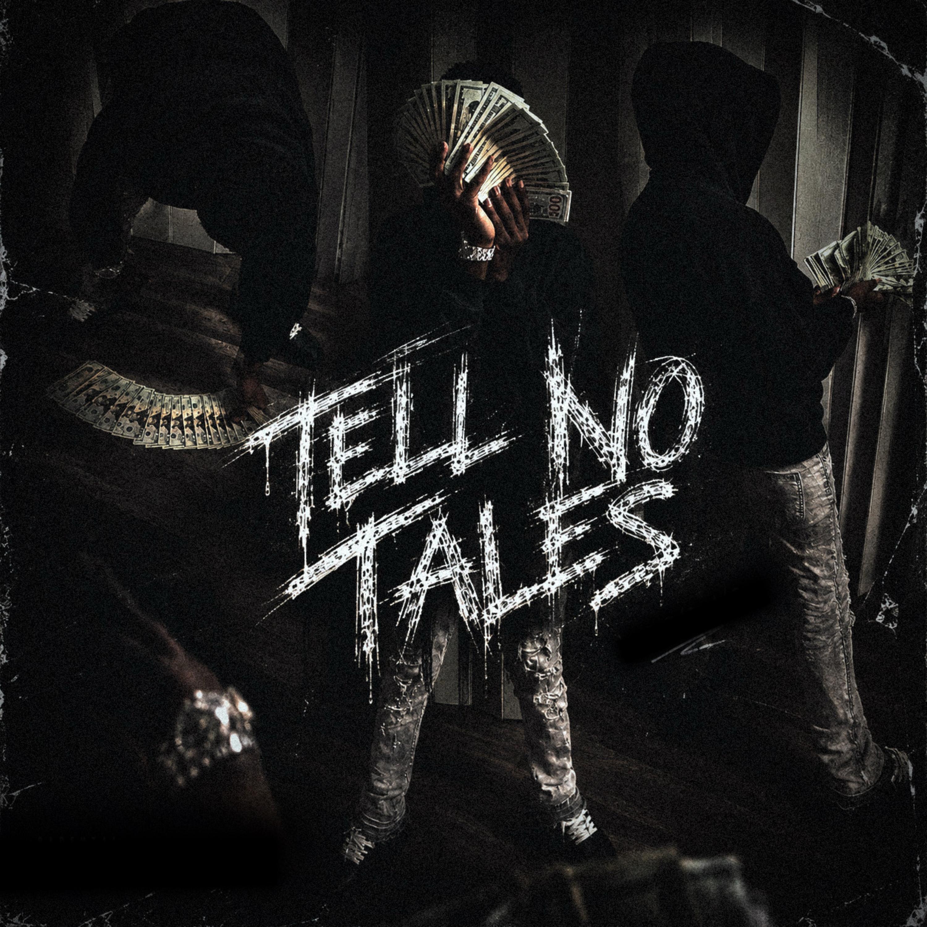 Tell No Tales by reckless3x cover art