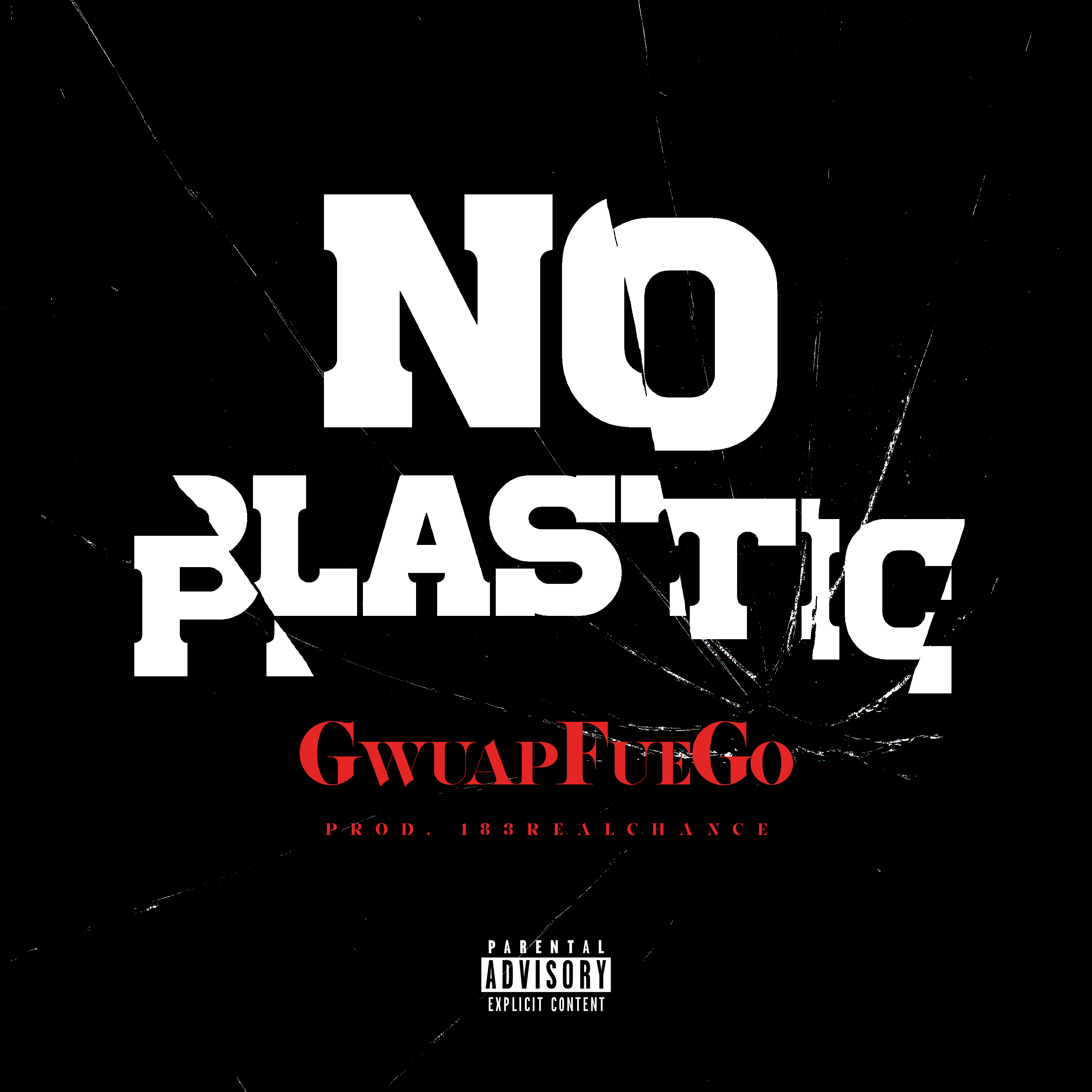 No Plastic artwork