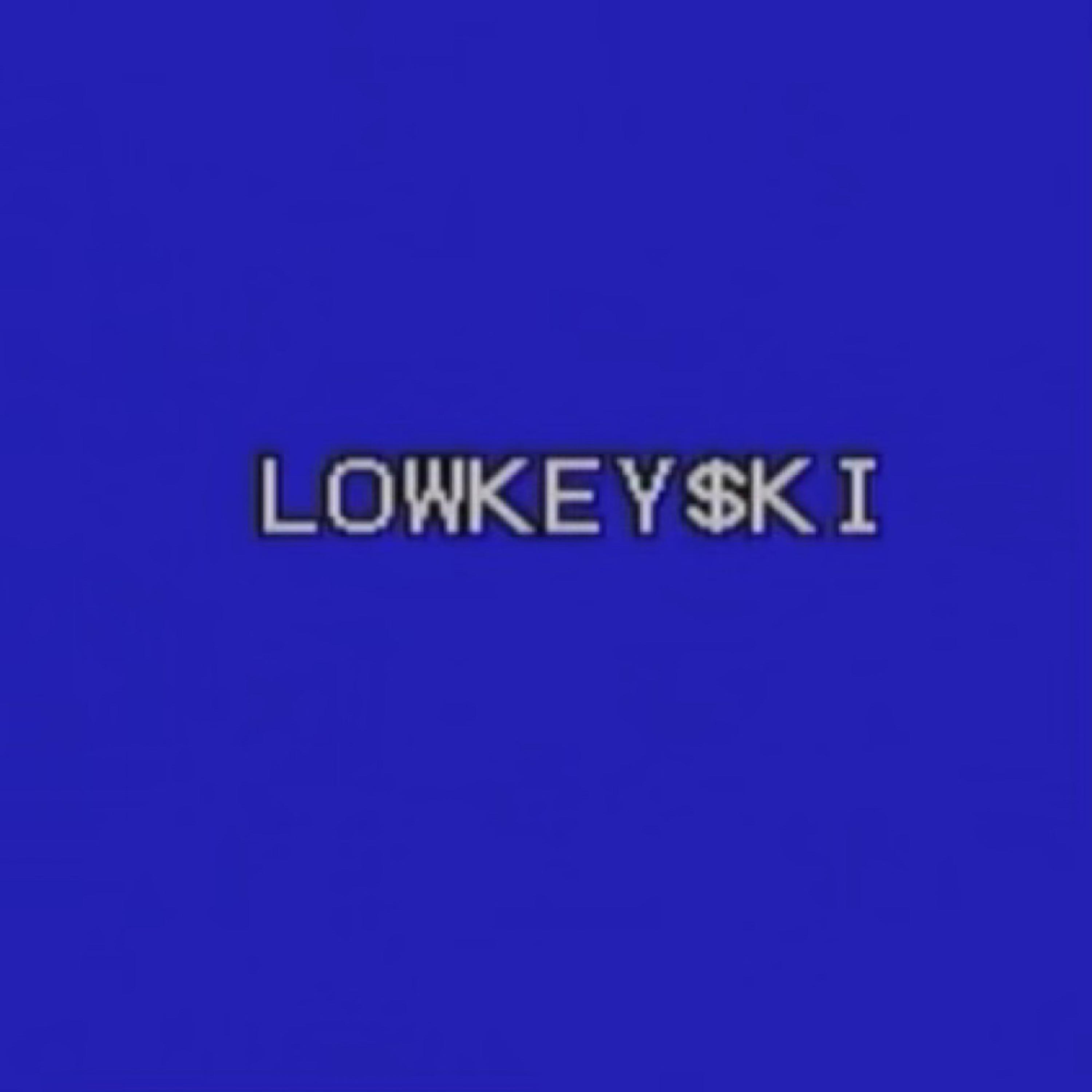 Lowkeyski artwork
