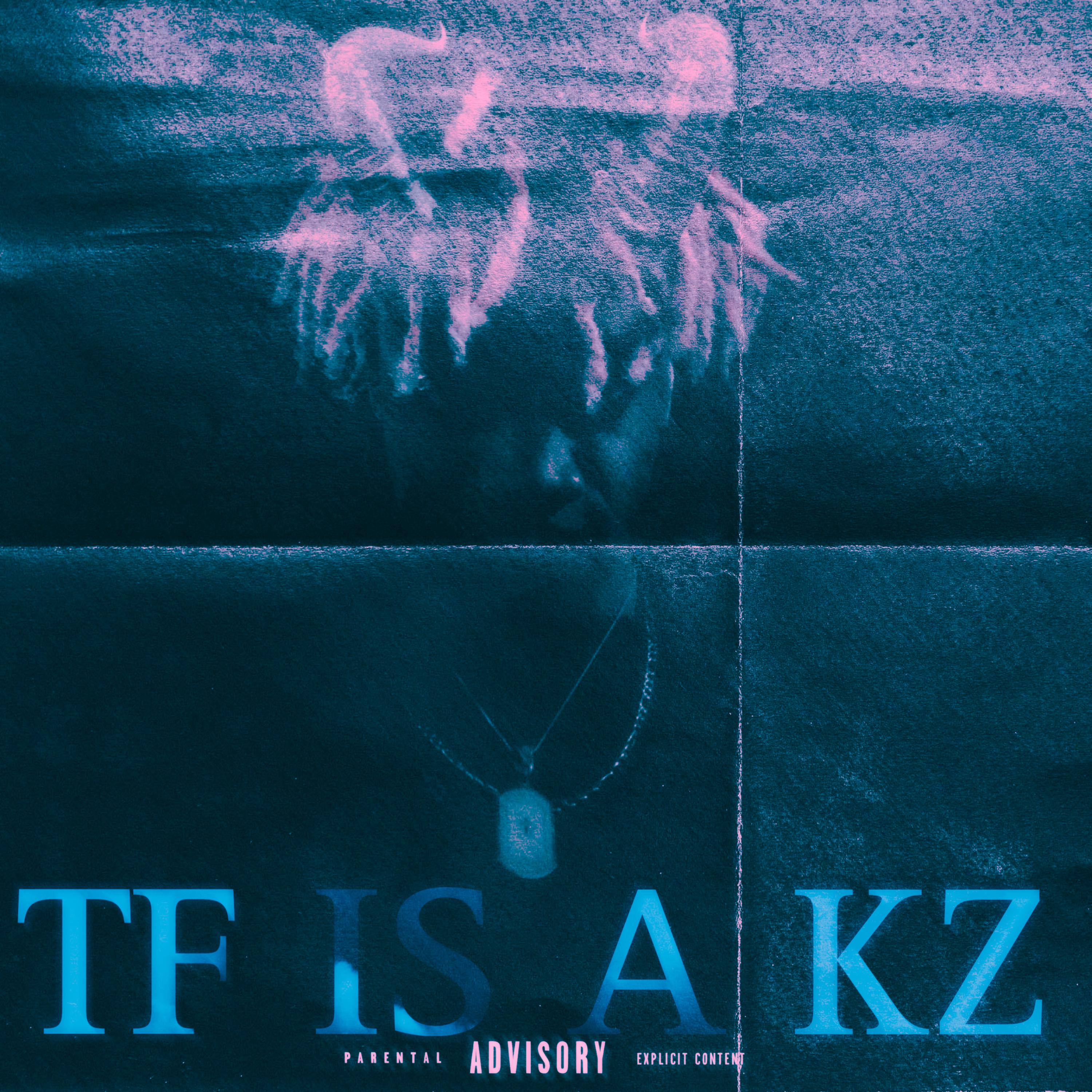 TF IS A KZ artwork