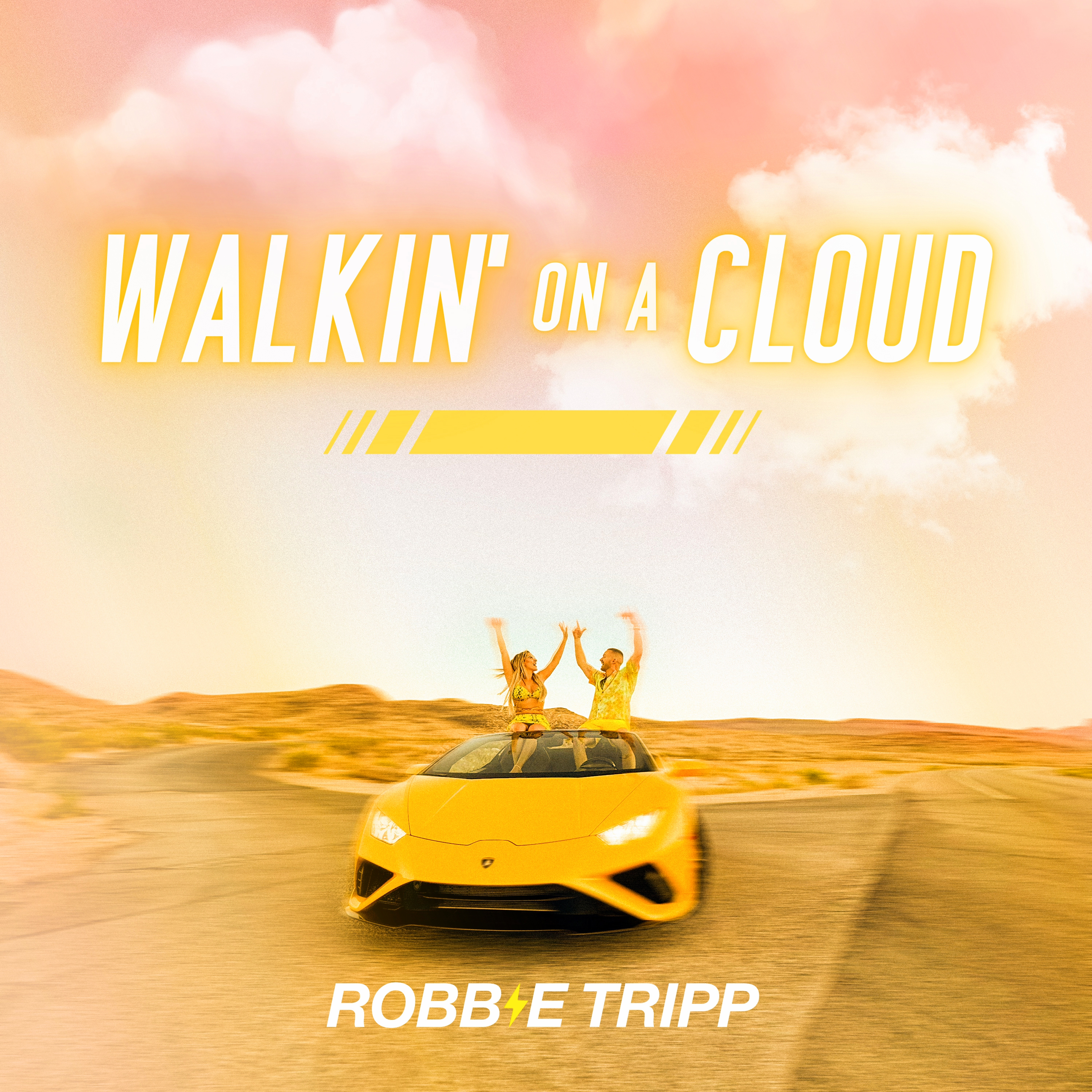 WALKIN' ON A CLOUD artwork