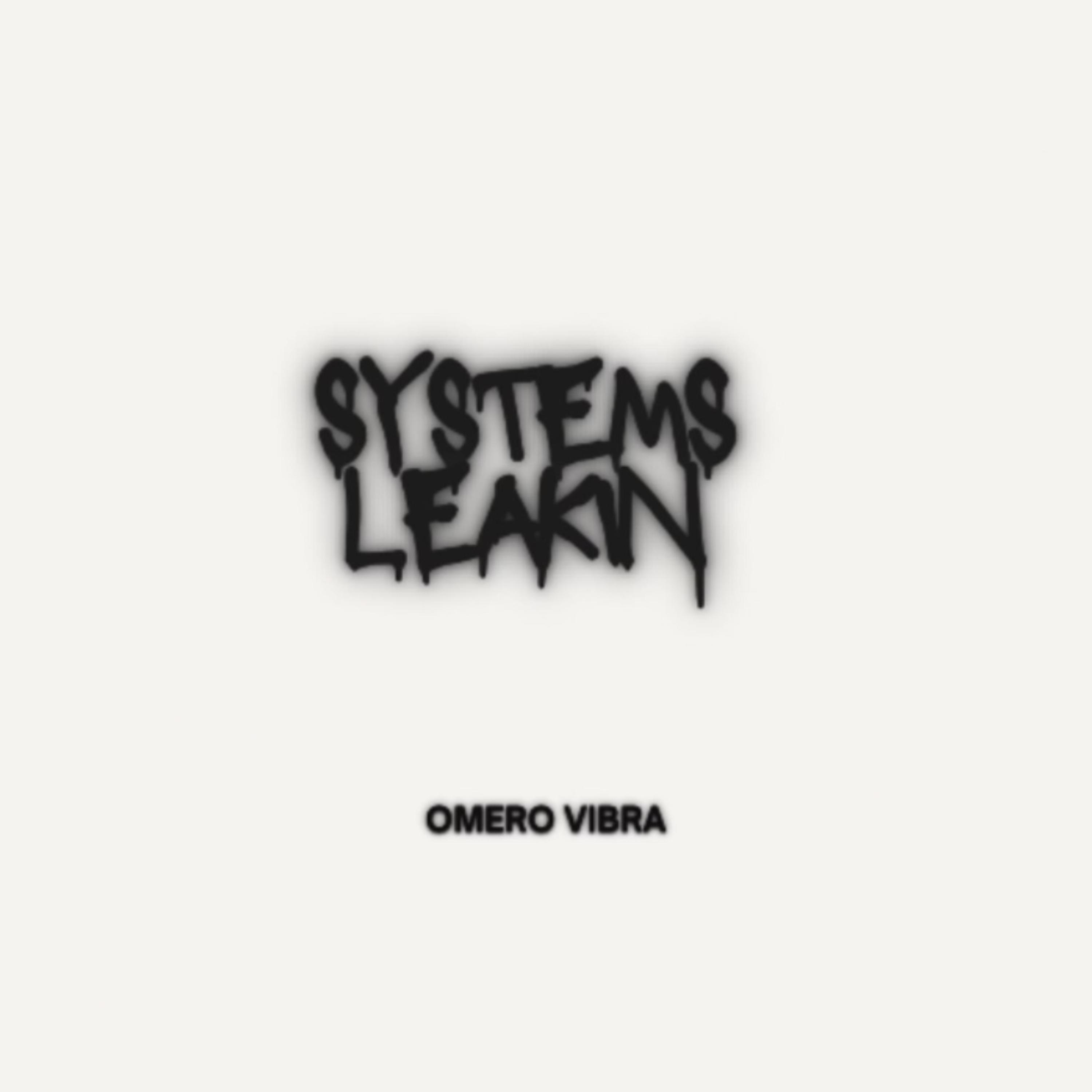 Systems Leakin artwork