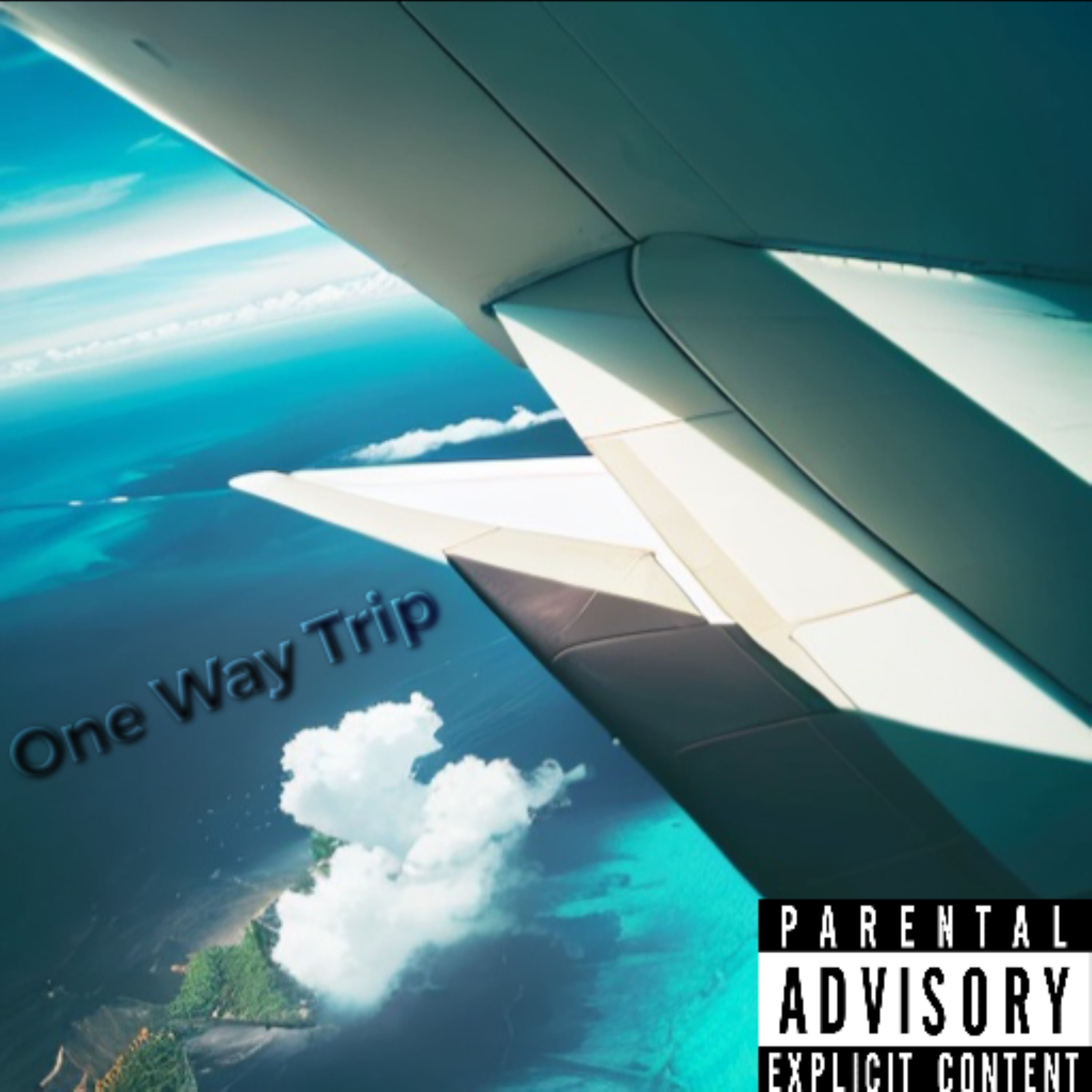 One Way Trip artwork