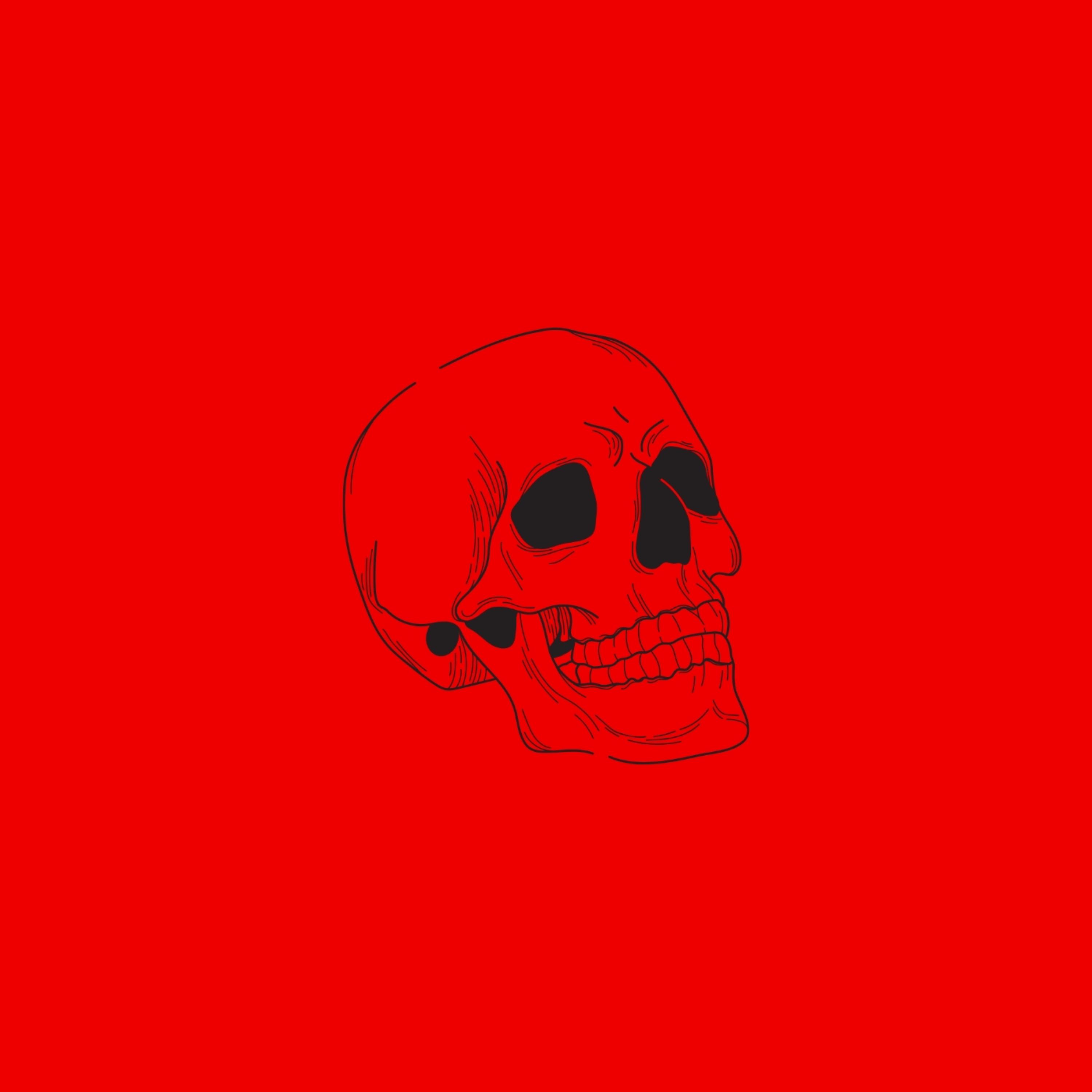 Red Dead artwork