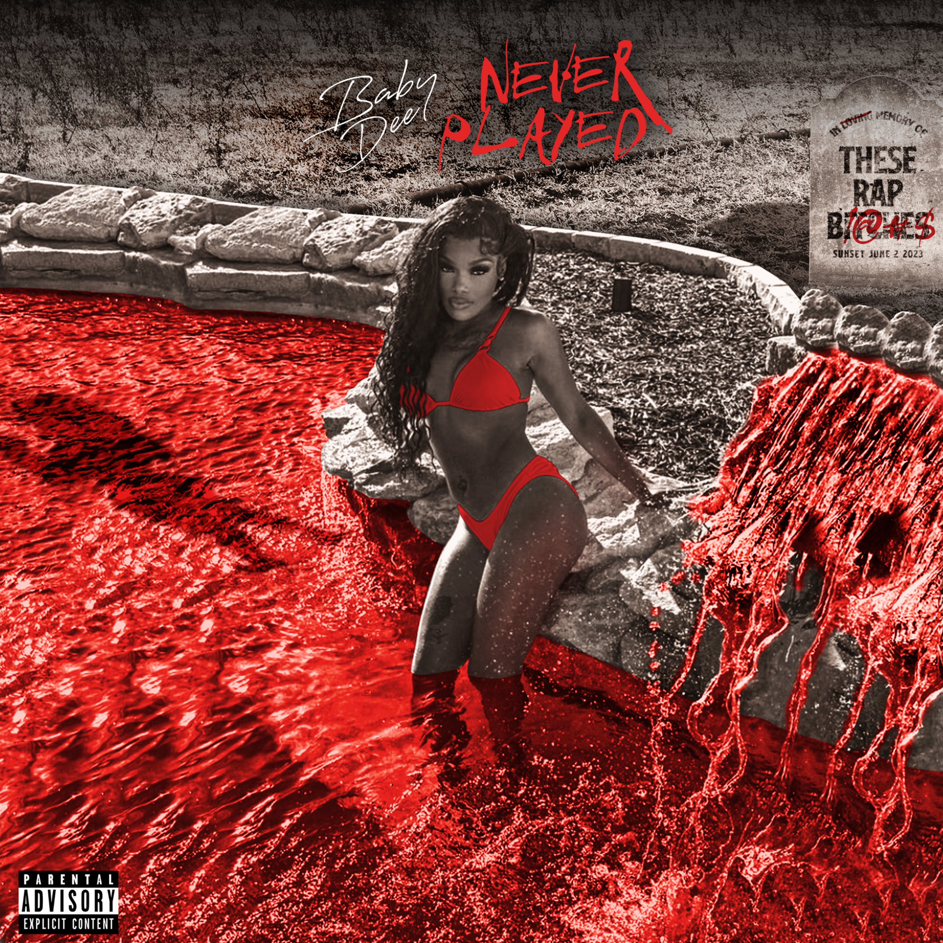 Never Played artwork