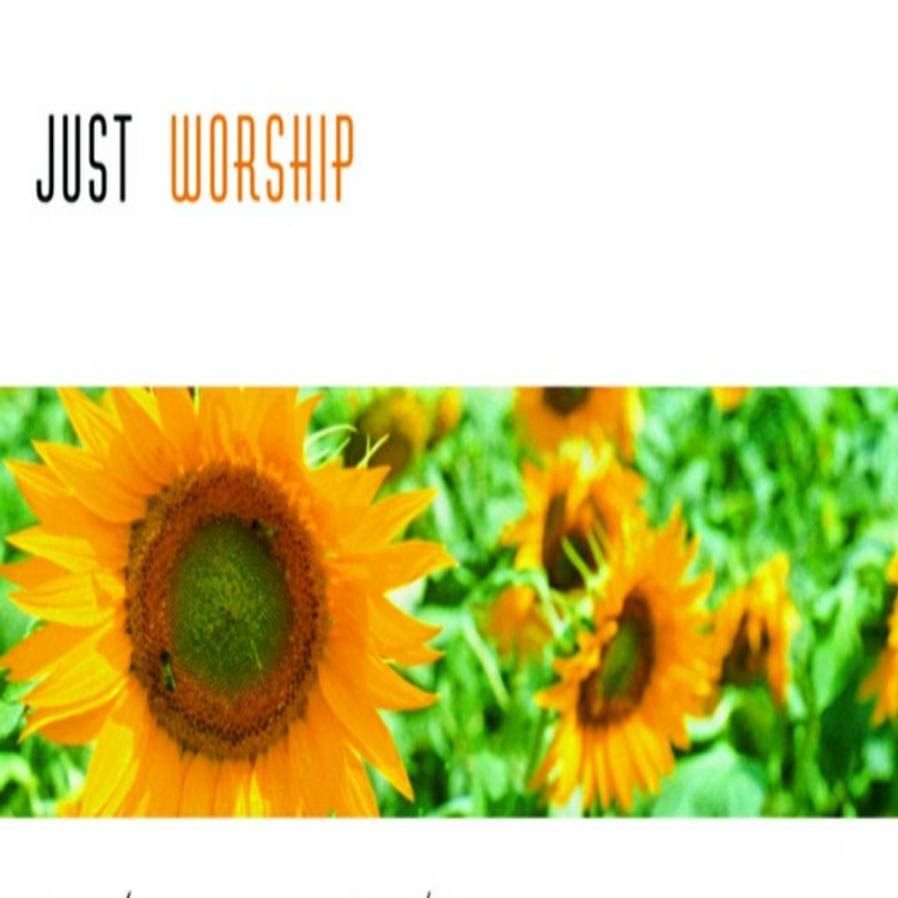 Just Worship artwork