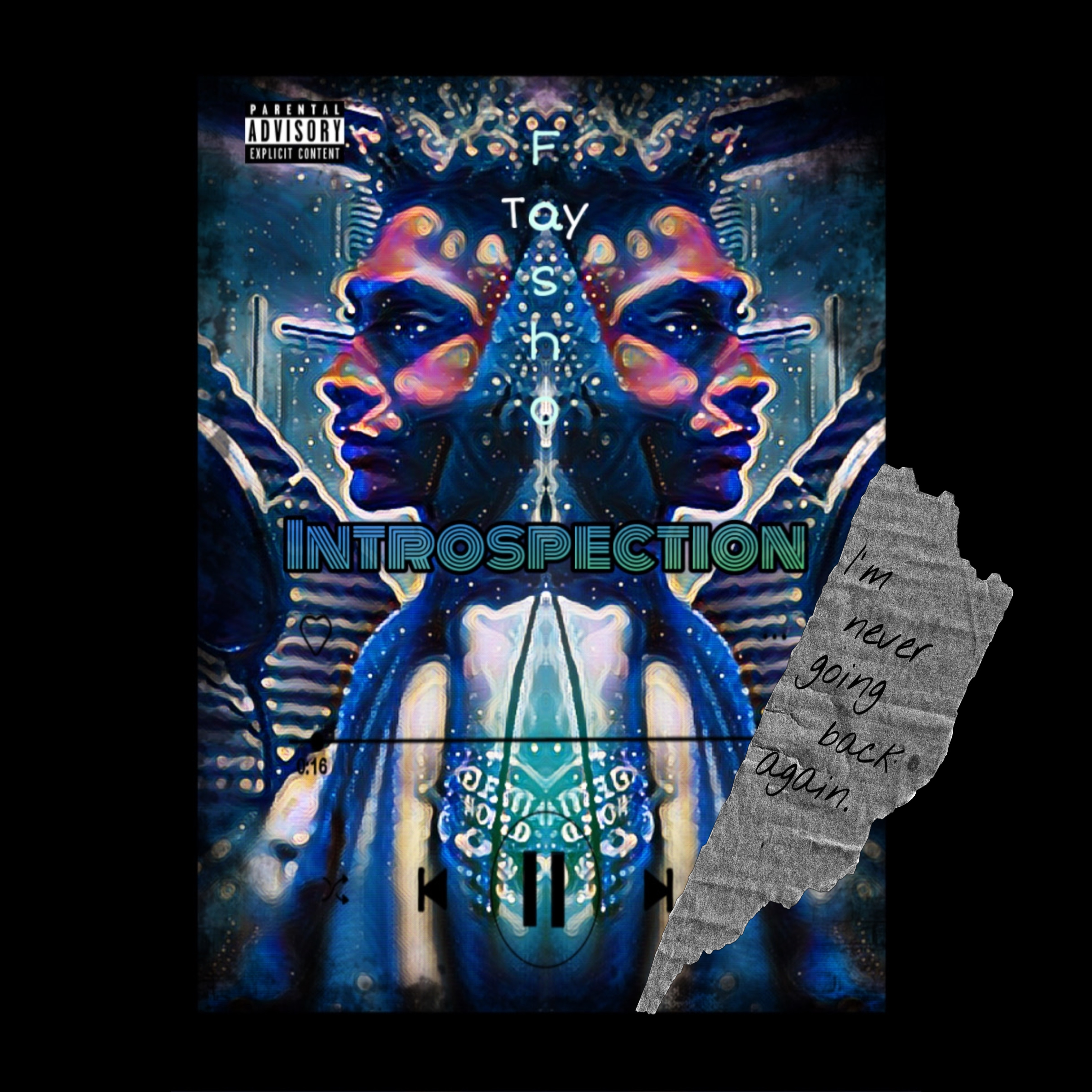 Introspection artwork