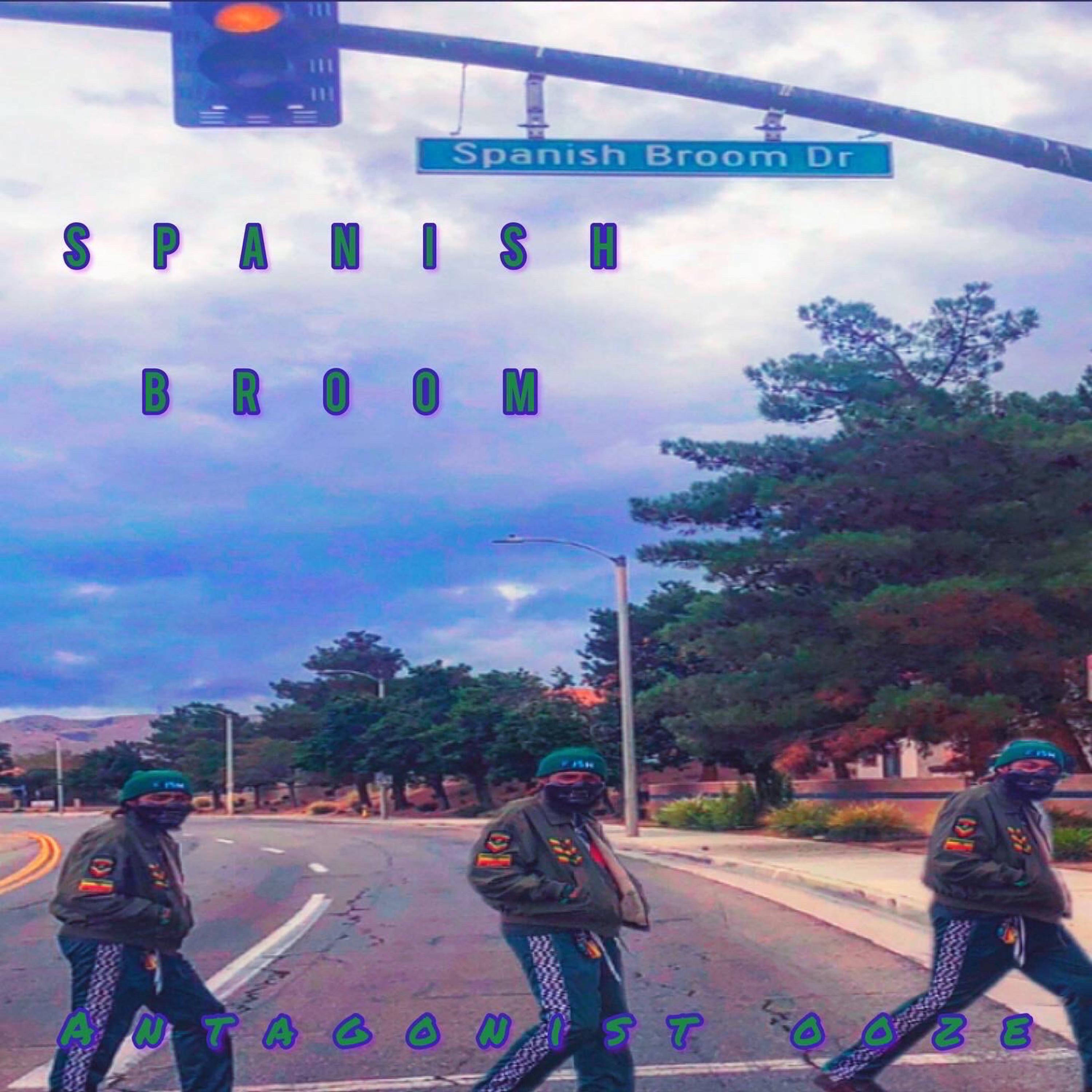 Spanish Broom artwork