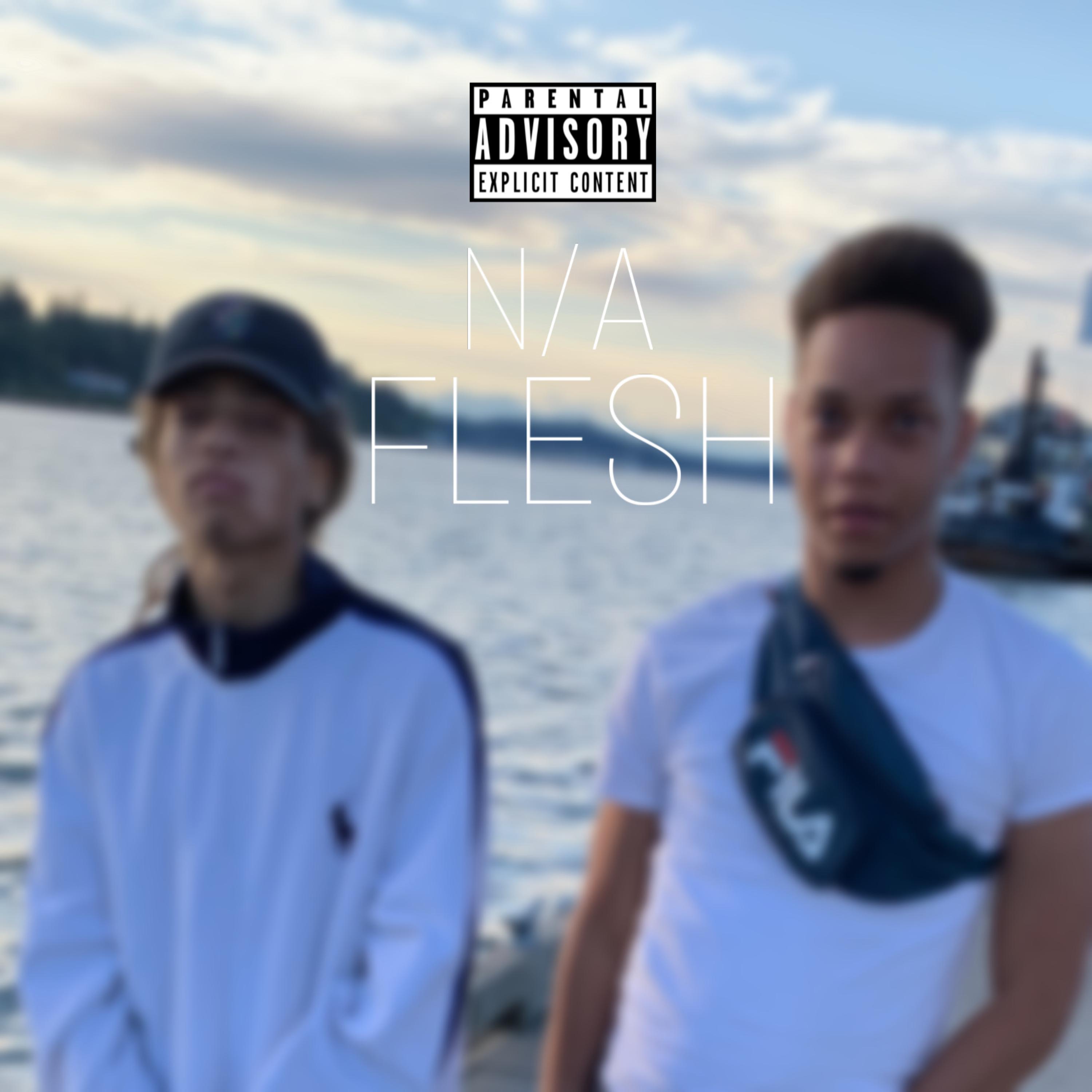 N/A FLESH artwork