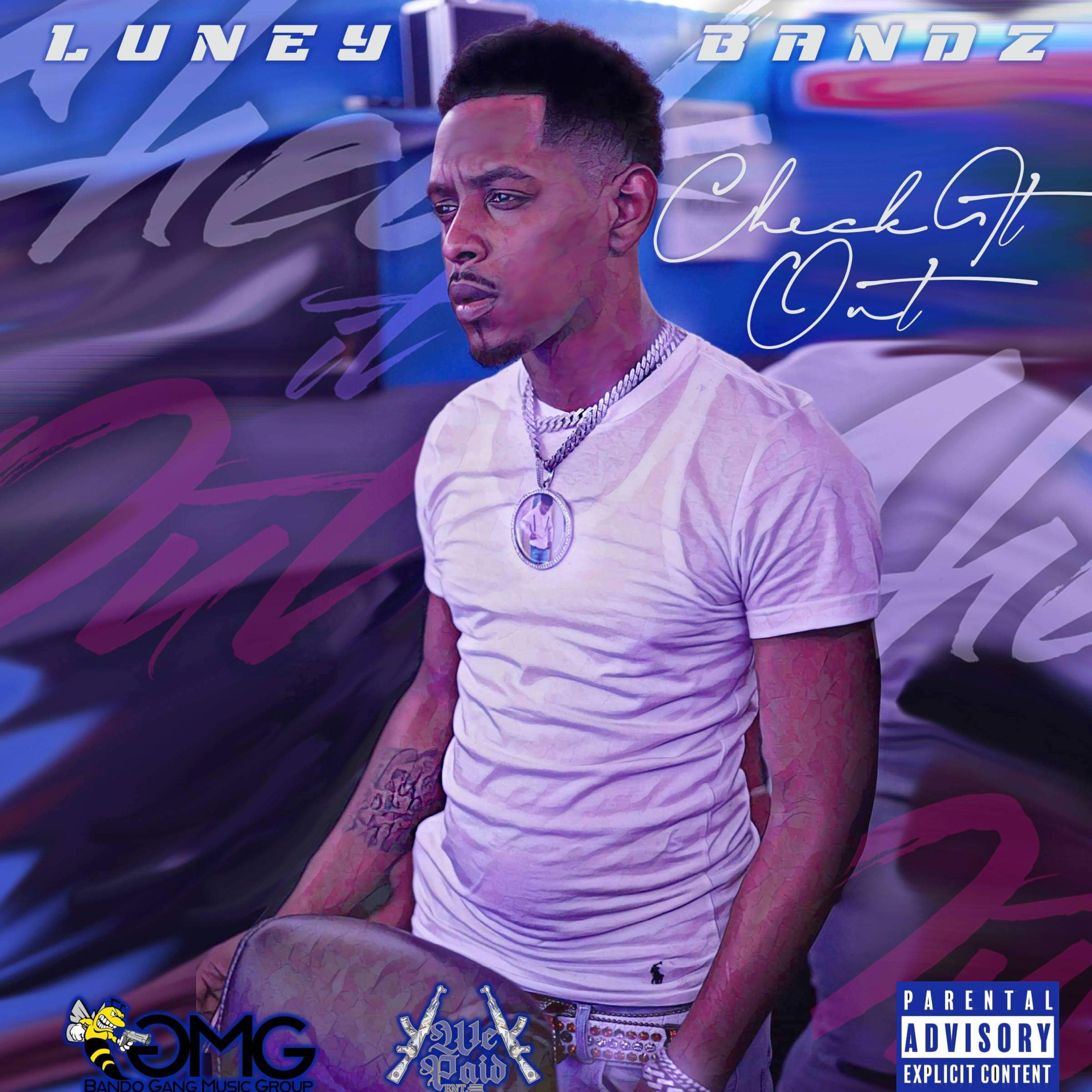 Check It Out artwork
